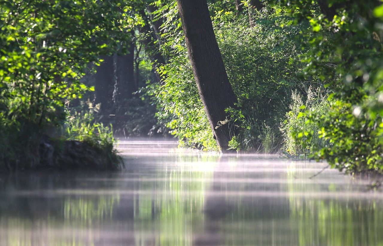 1280x822 Free Biosphere Reserve & Nature Image