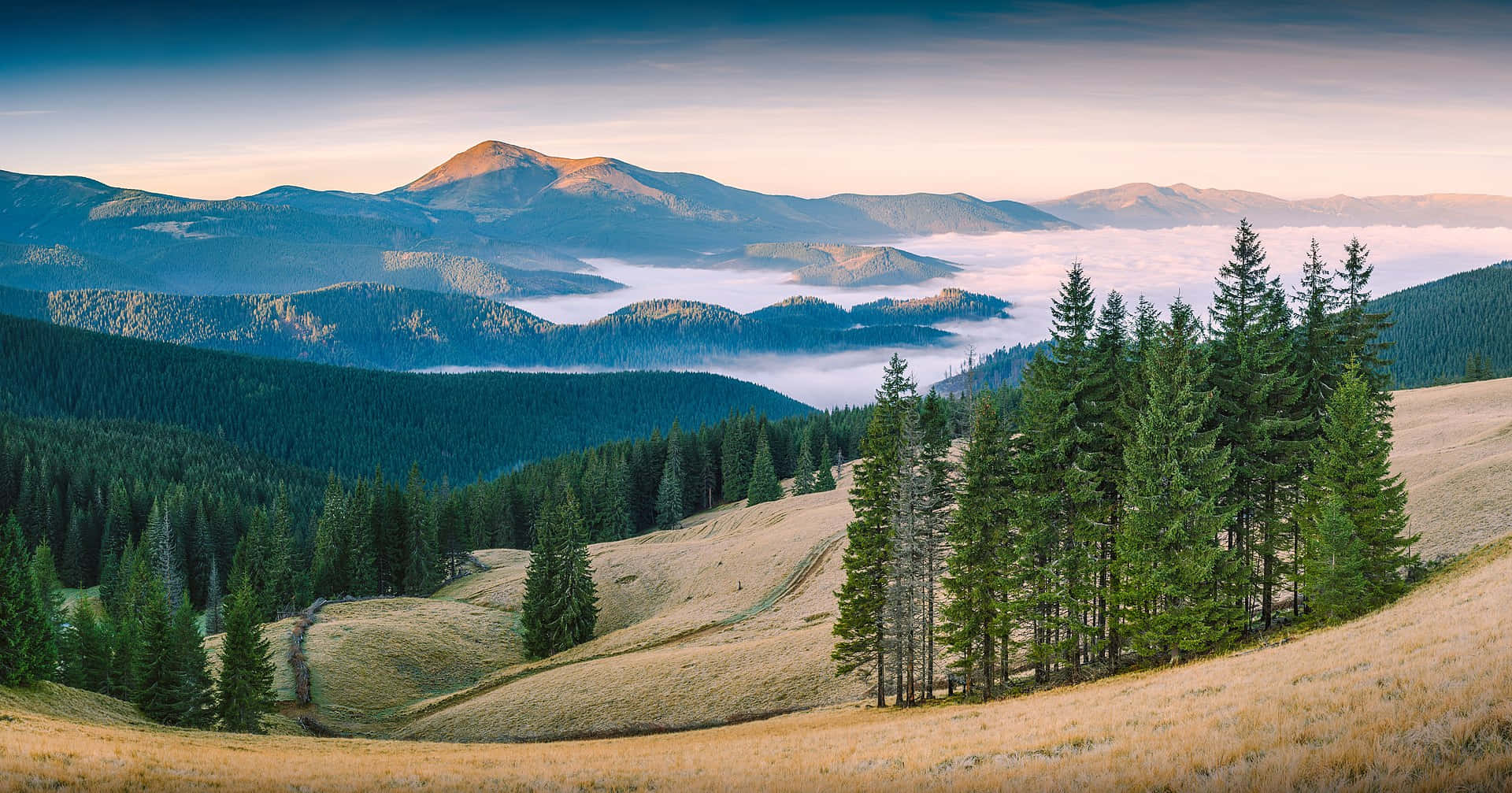 1920x1007 Download Explore the many wonders of the Earth's Biosphere
