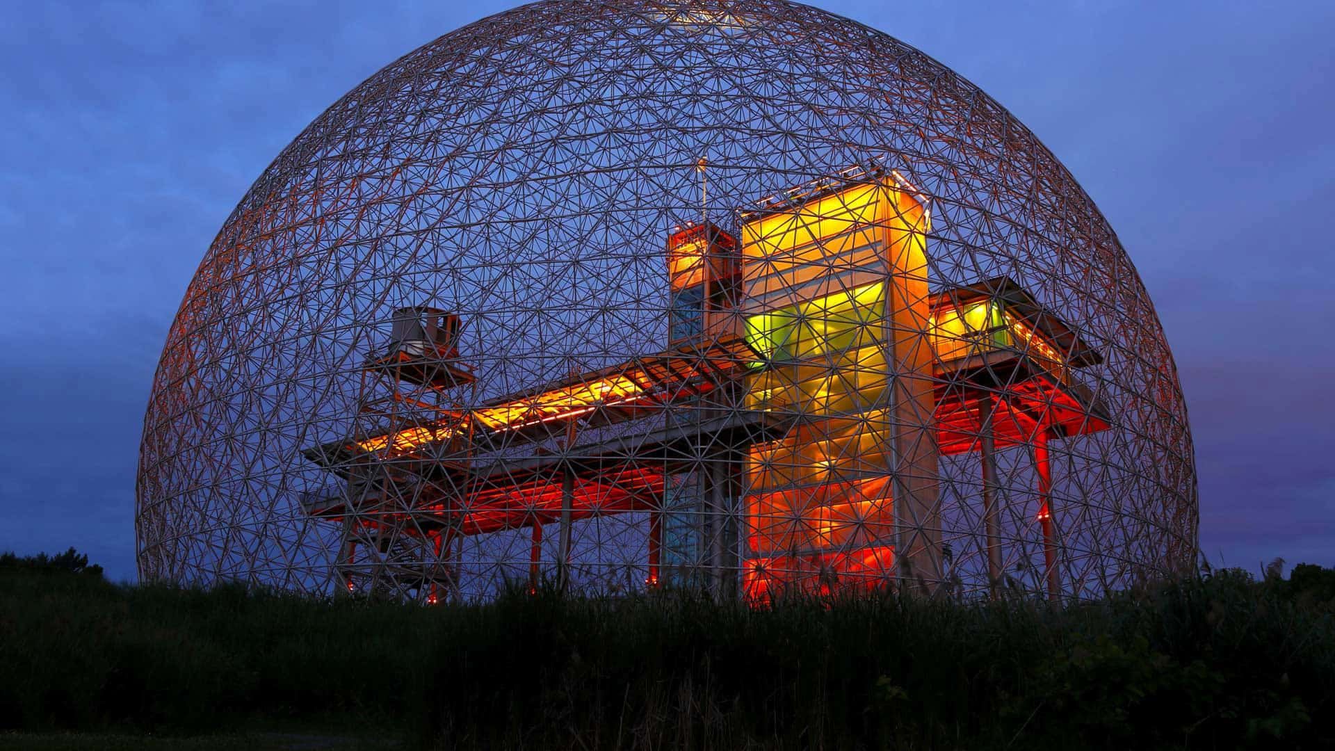 1920x1080 Download The Wonders of the Biosphere