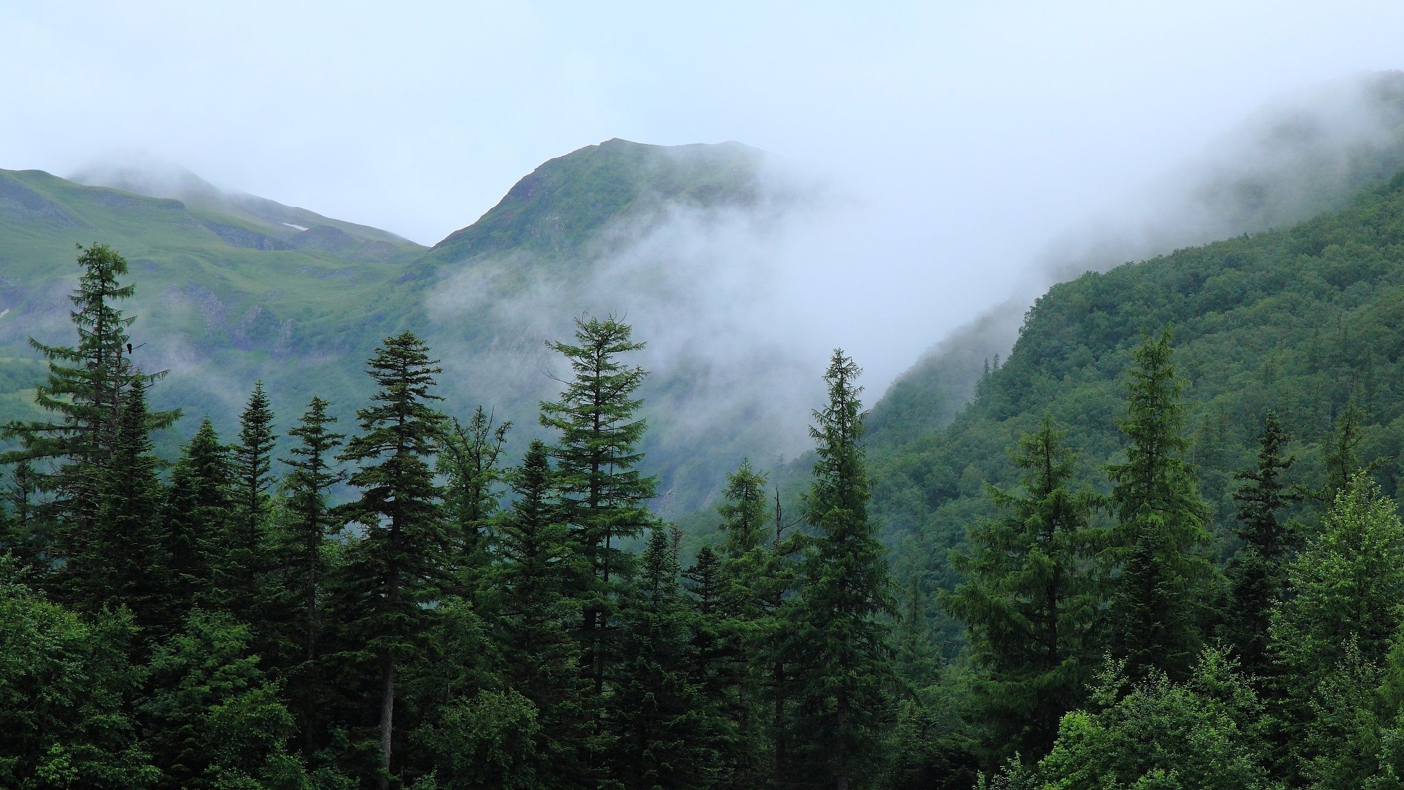 2048x1152 Experts Exchange Views on Global Geopark, Biosphere Reserve Sustainable Development-Chinese Academy of Sciences