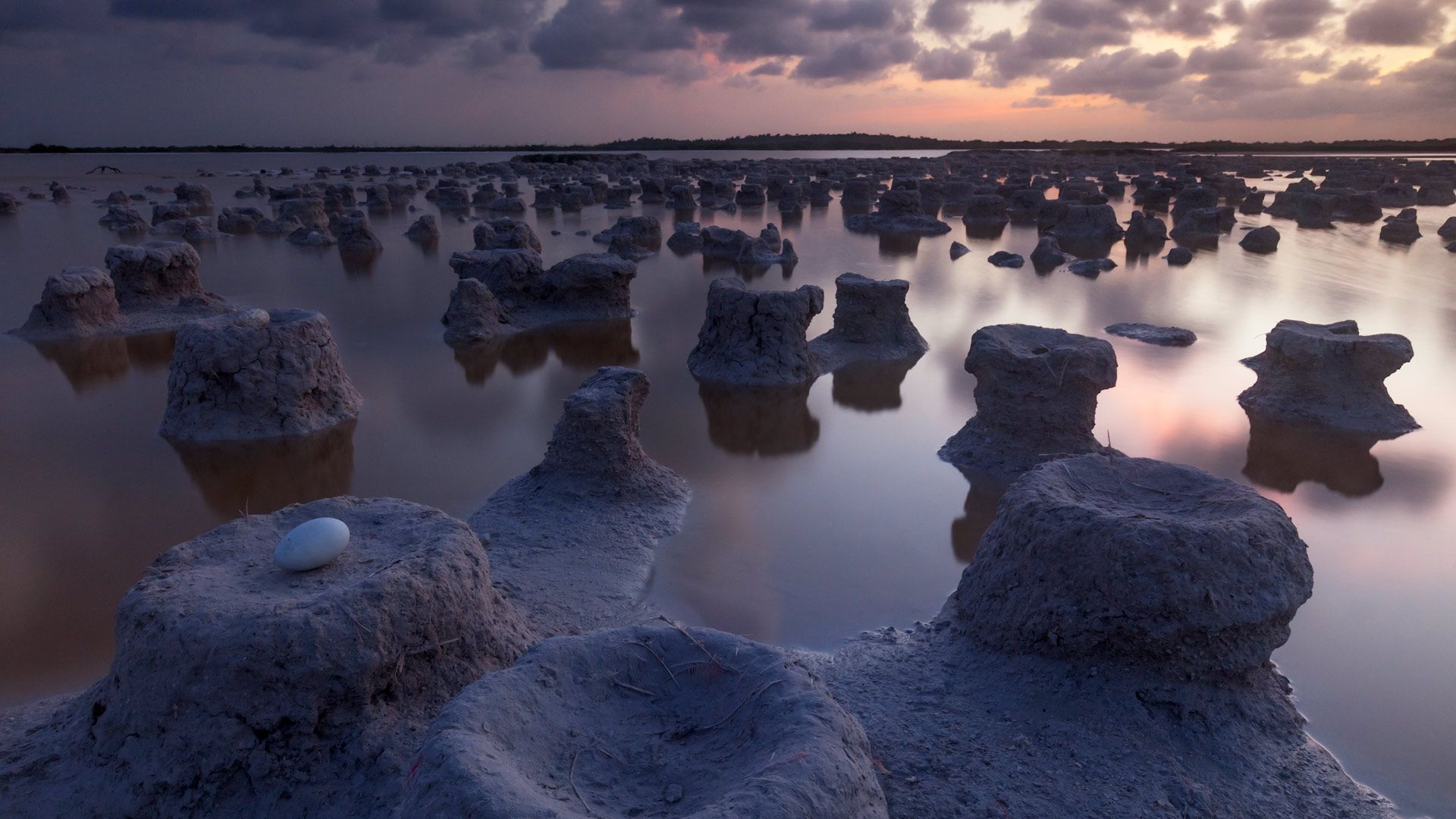 1920x1080 Bing image: International Day for Biosphere Reserves Wallpaper Gallery