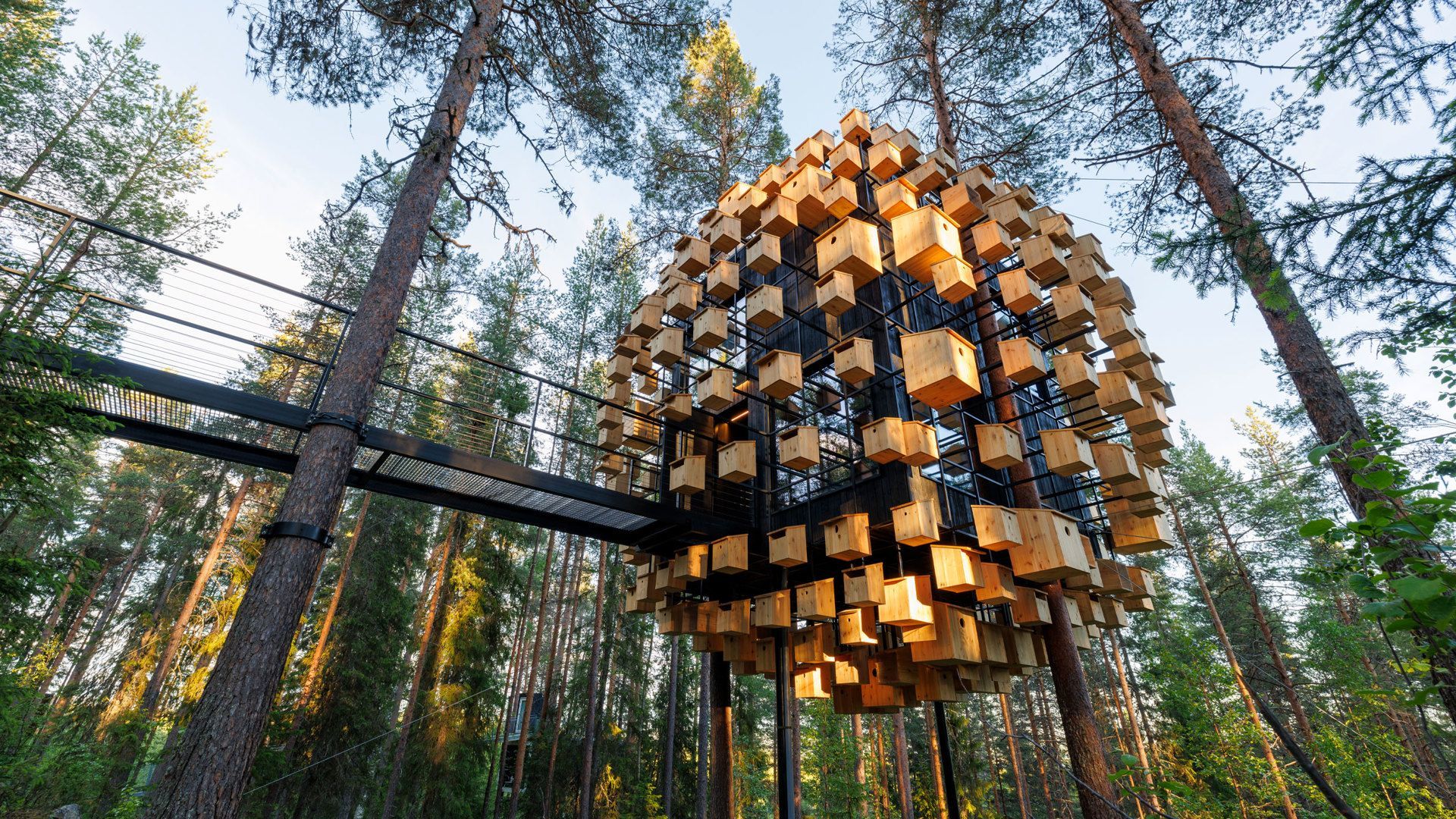 1920x1080 Treehotel.se