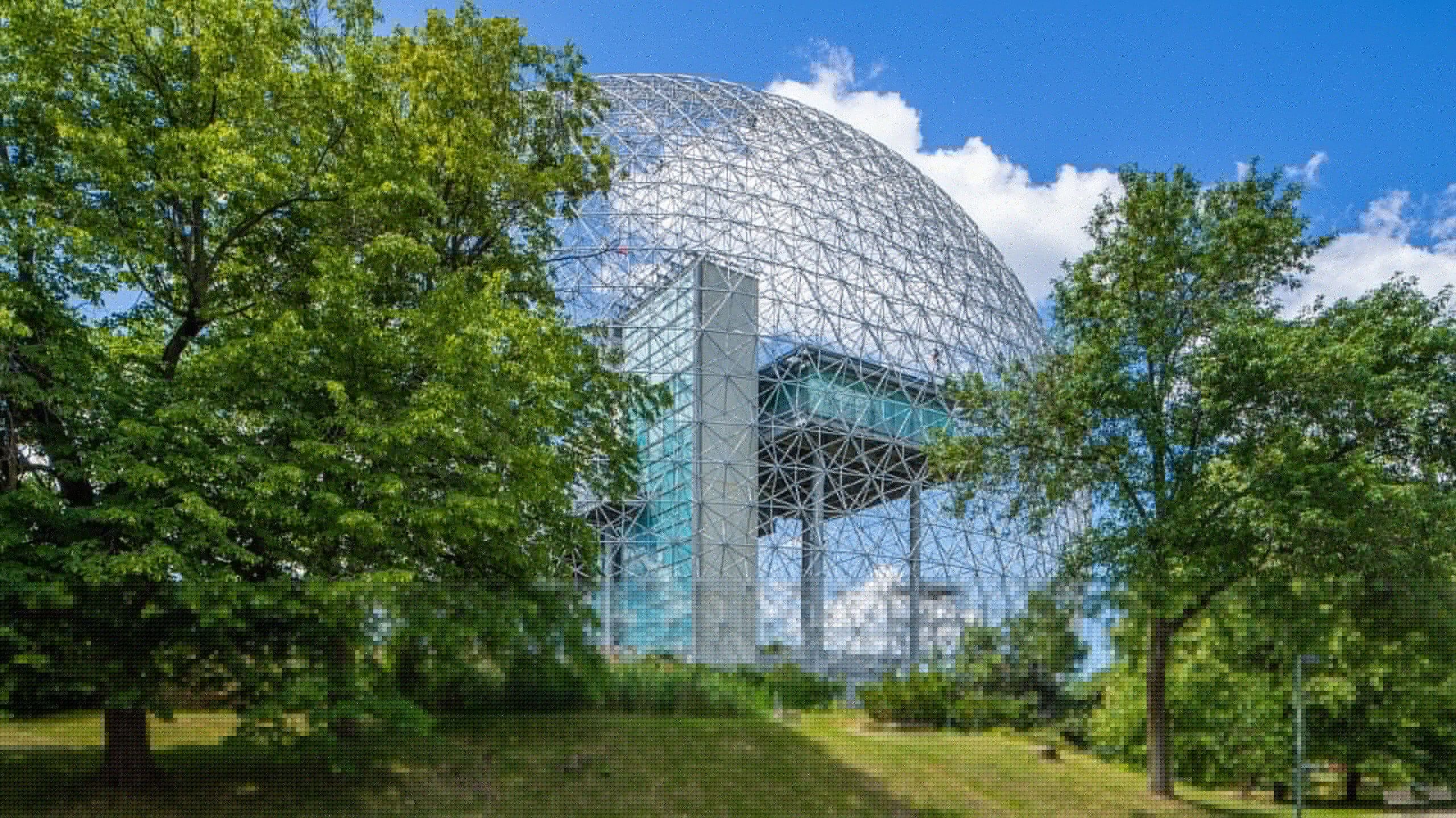 2560x1440 Biosphere Tours