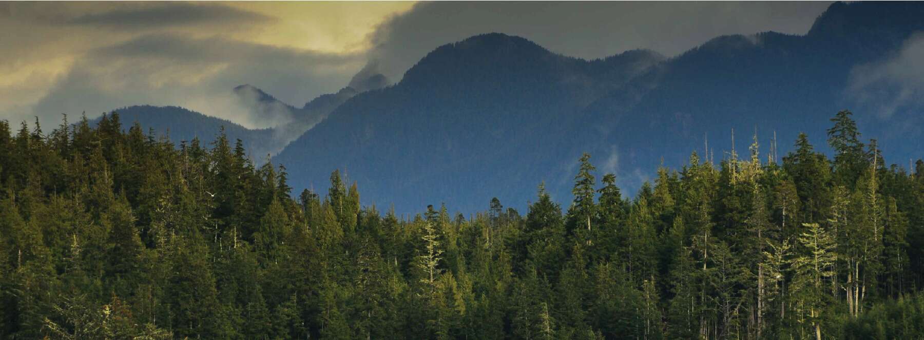 1800x664 Biosphere Zonation. Clayoquot Biosphere Trust
