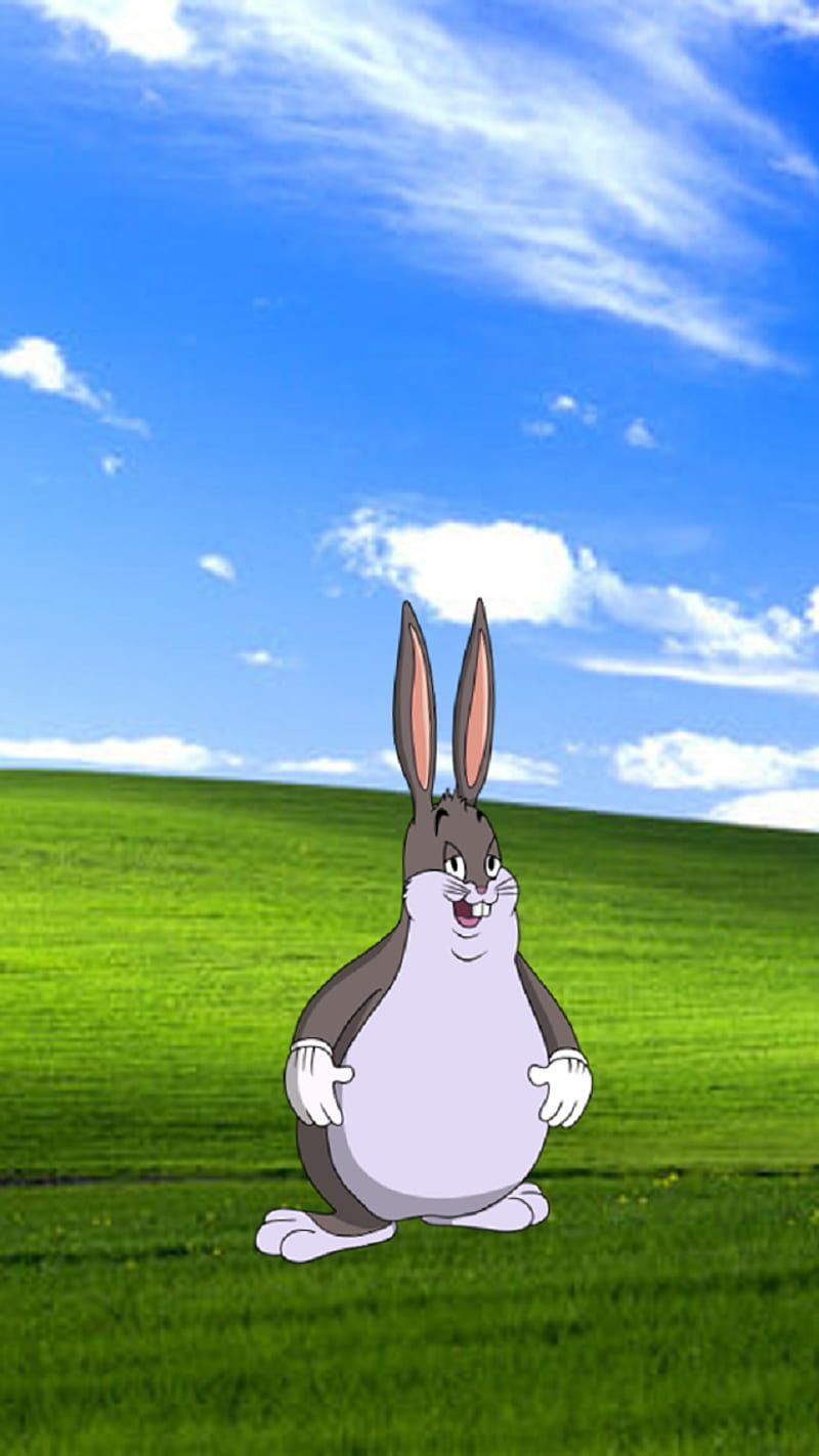 800x1422 HD windowsxp wallpaper
