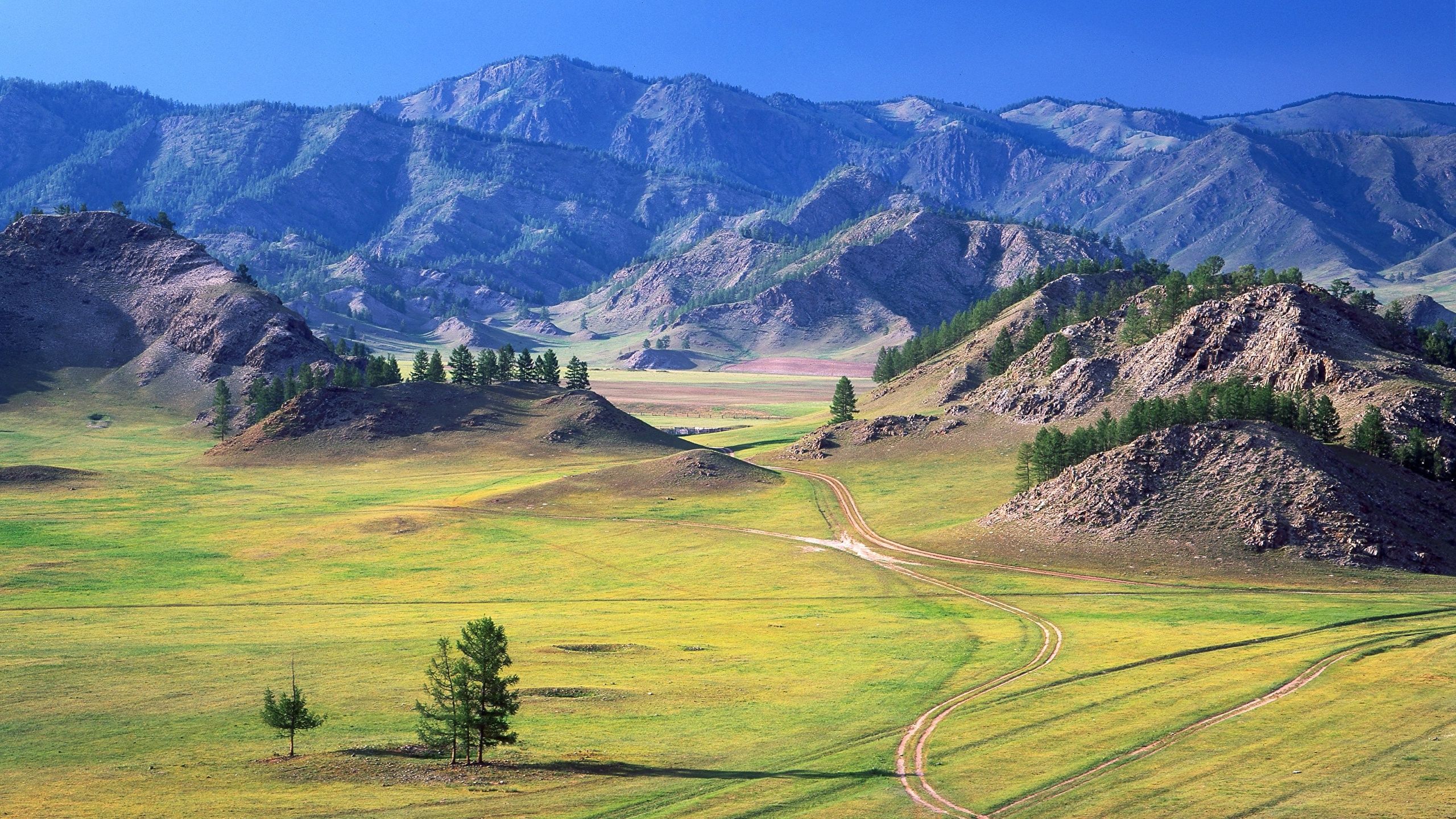 Altay Wallpapers - Top Free Altay Backgrounds - WallpaperAccess