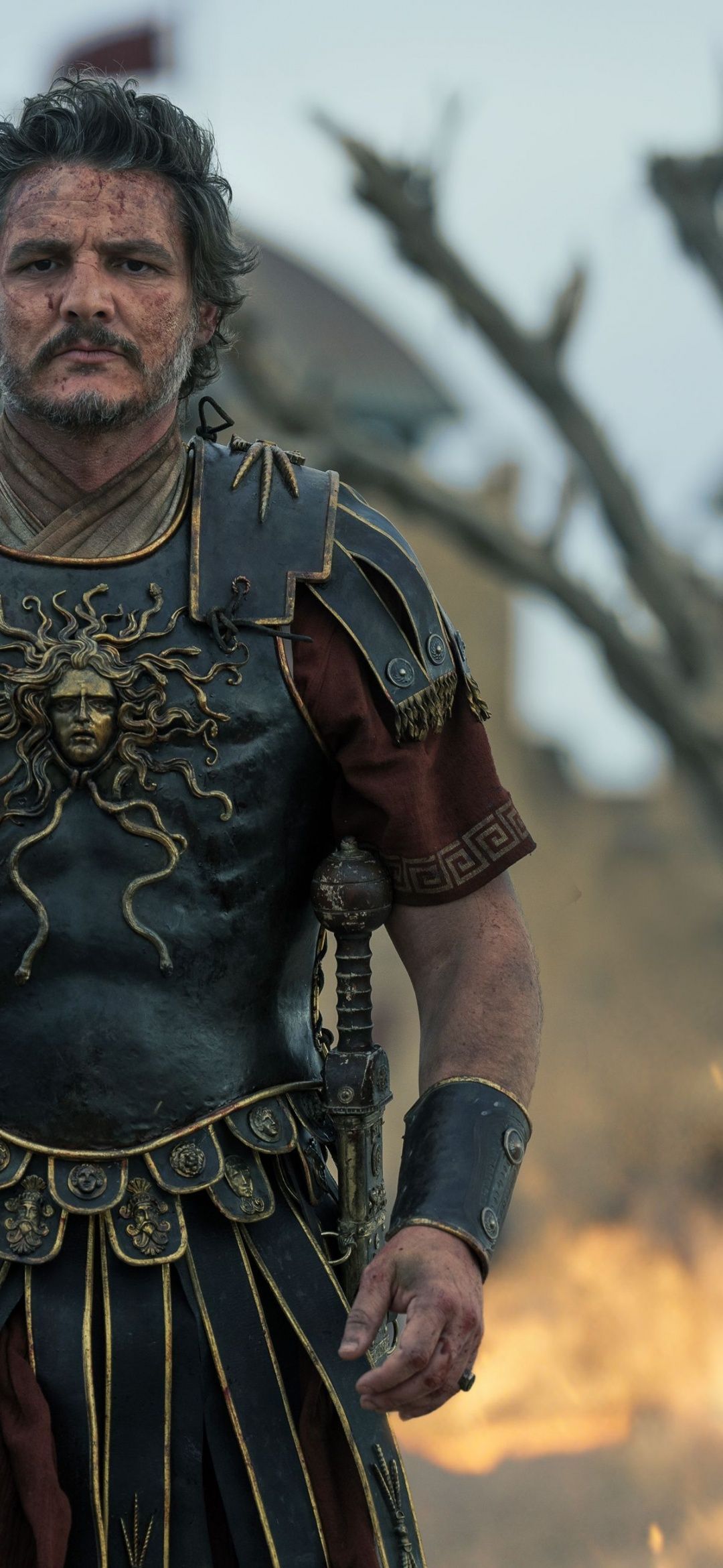 1080x2340 Pedro Pascal Wallpaper 4K, Gladiator II, 2024 Movies