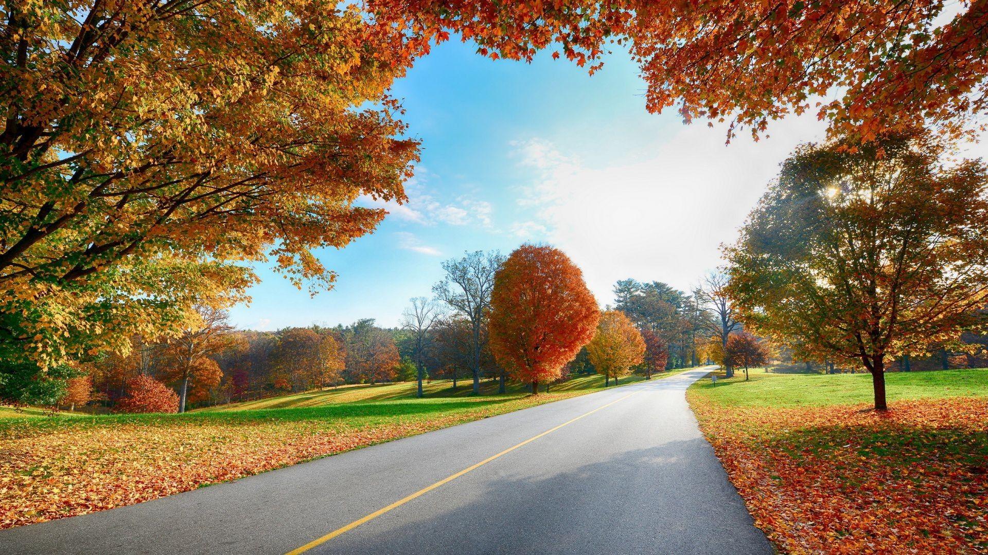 1920x1080 Colorfull, Trees, Landscape, Widescreen, High, Quality