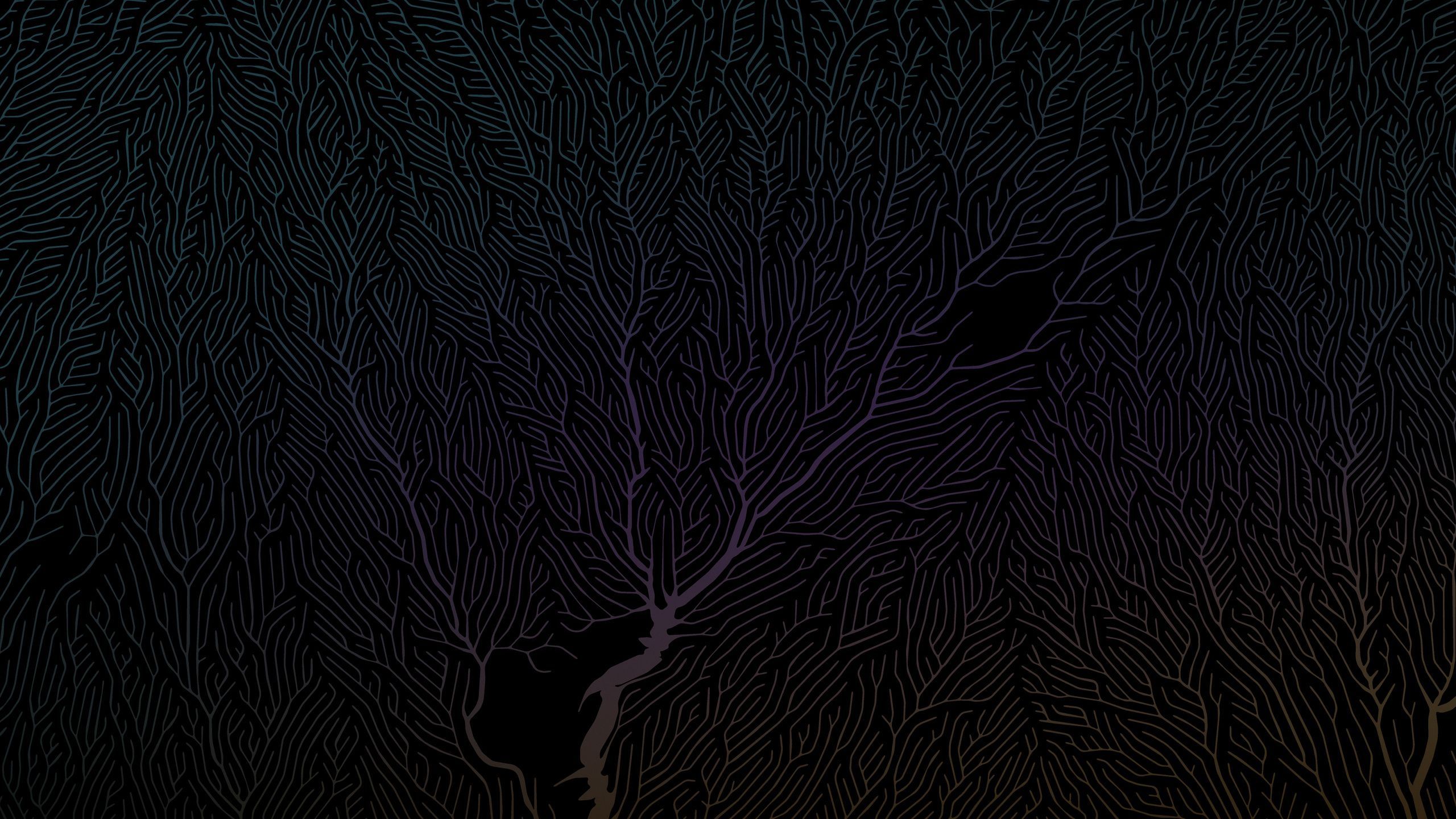 2560x1440 Dark Minimal Tree 5k 1440P Resolution , HD 4k Wallpaper, Image, Background, Photos and Picture