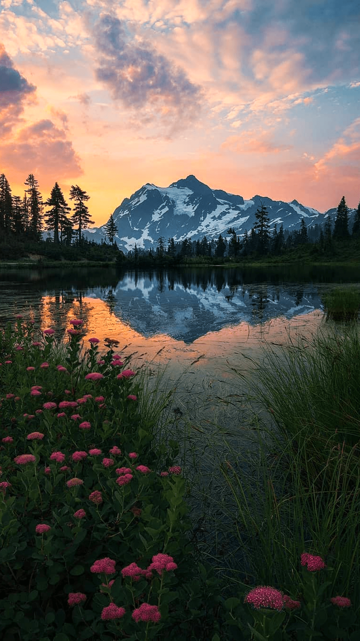 1152x2048 Infinix Note 30 Wallpaper