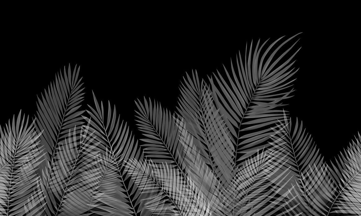 1165x699 Swaying Palm Leaves