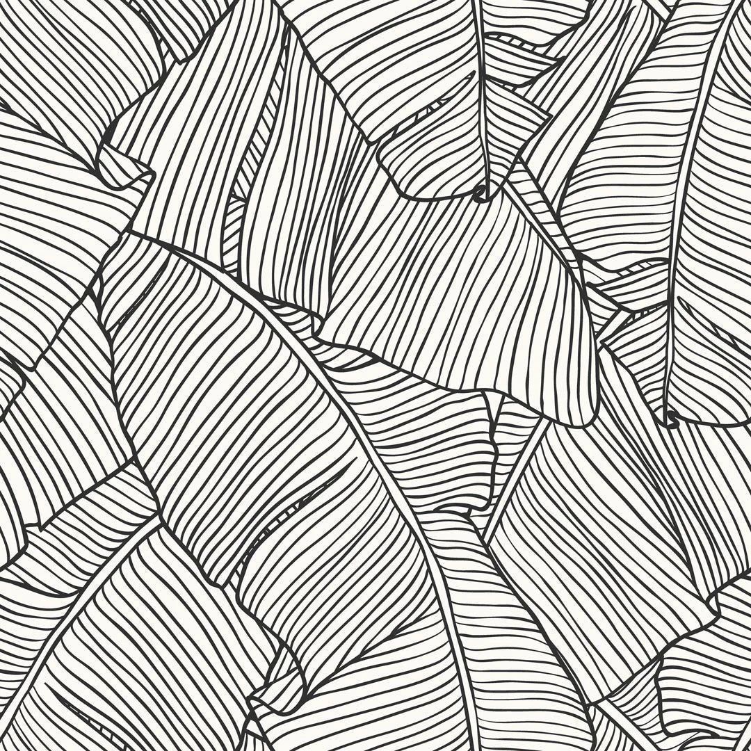 1080x1080 Banana Leaf Wallpaper in Mono