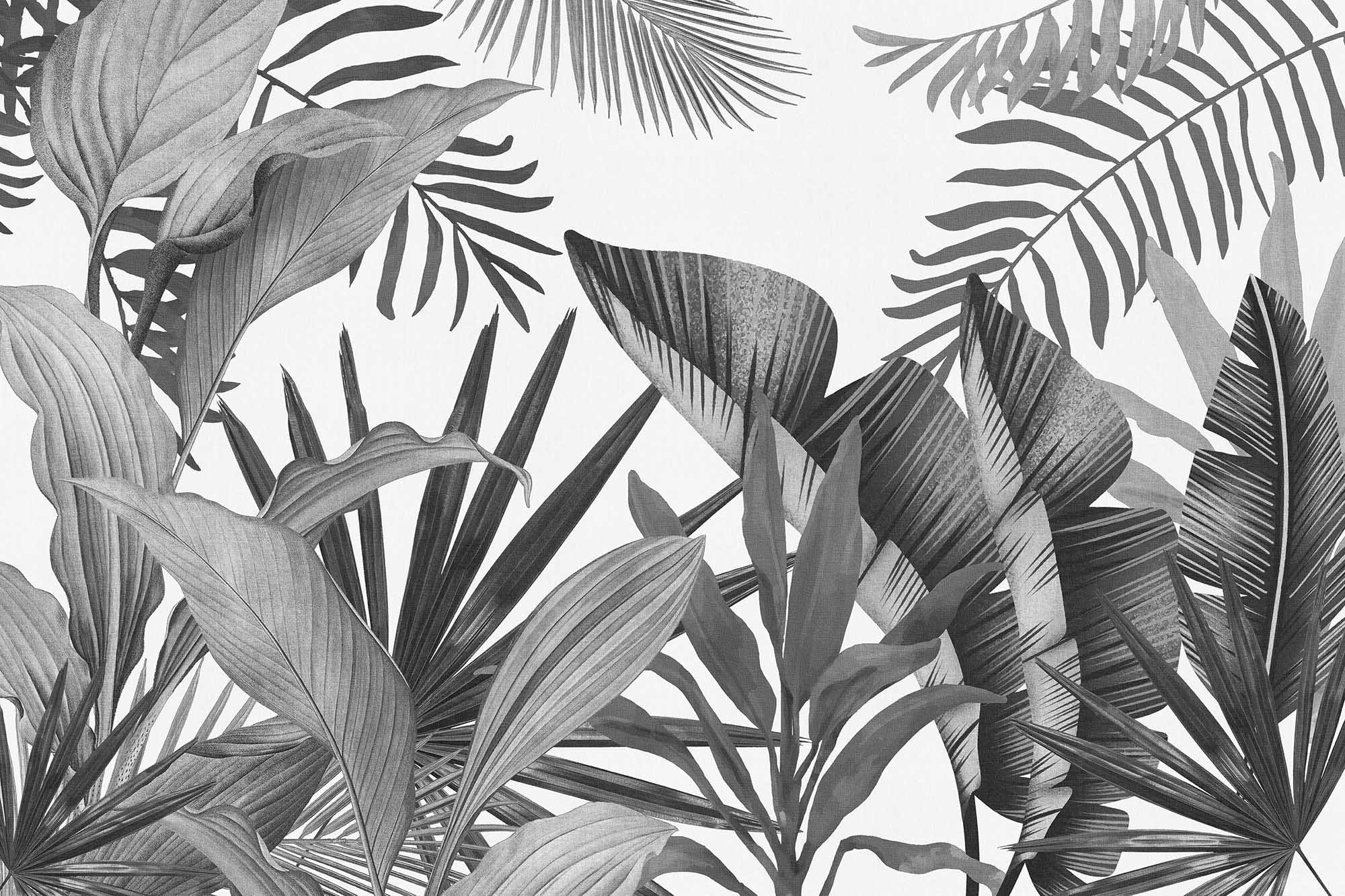 2000x1333 Tropical Leaves in Black and White (Canvas Texture)' x 8' ( 66m x 44m)