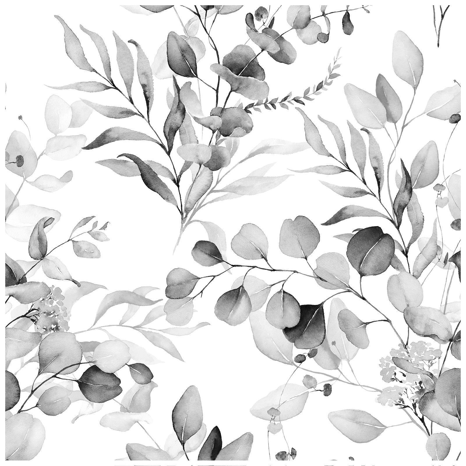 1600x1600 Eucalyptus Black and White Watercolor Botanical Leaf Wallpaper