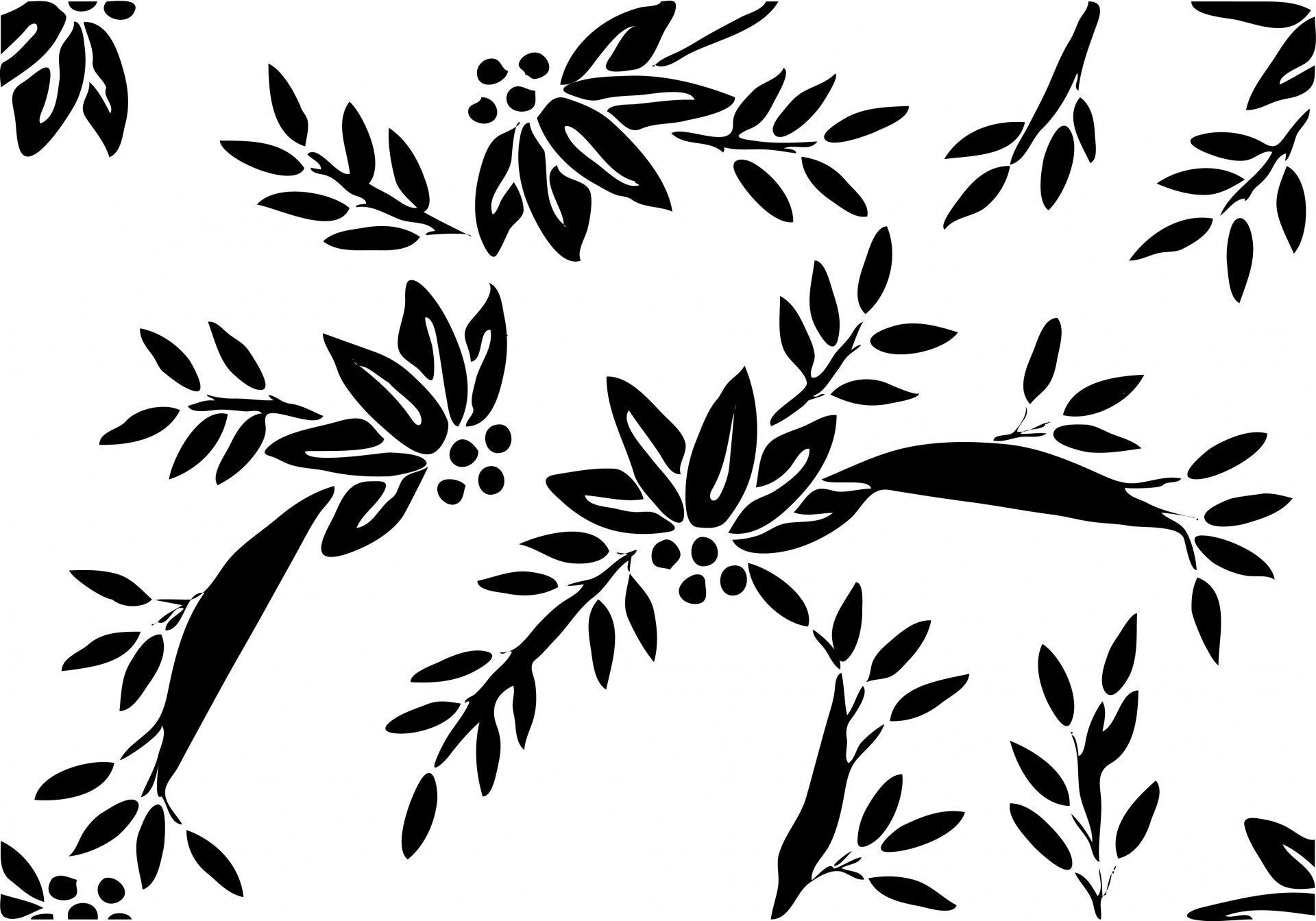 1920x1344 Leaves, leaf, foliage, black, white