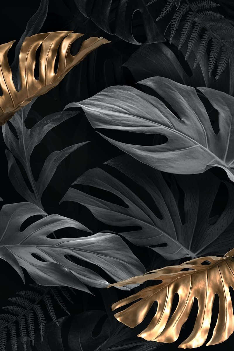 800x1200 Download Black And Gold Aesthetic Leaves Wallpaper