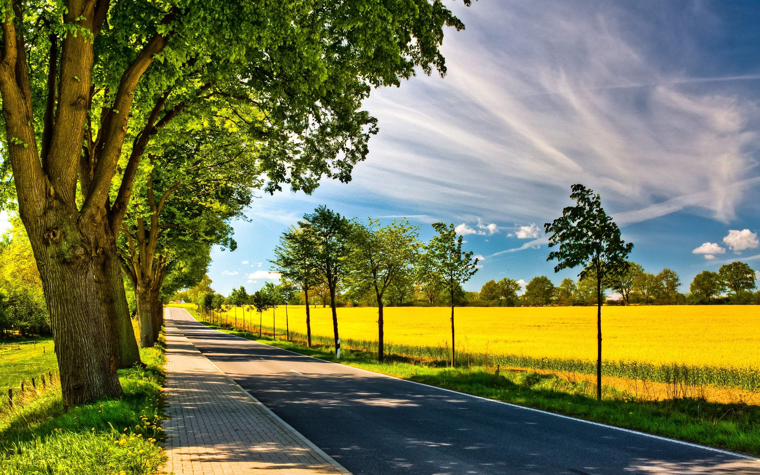 2560x1600 Y7399R9 Nature Wallpaper High Quality 2560x1600