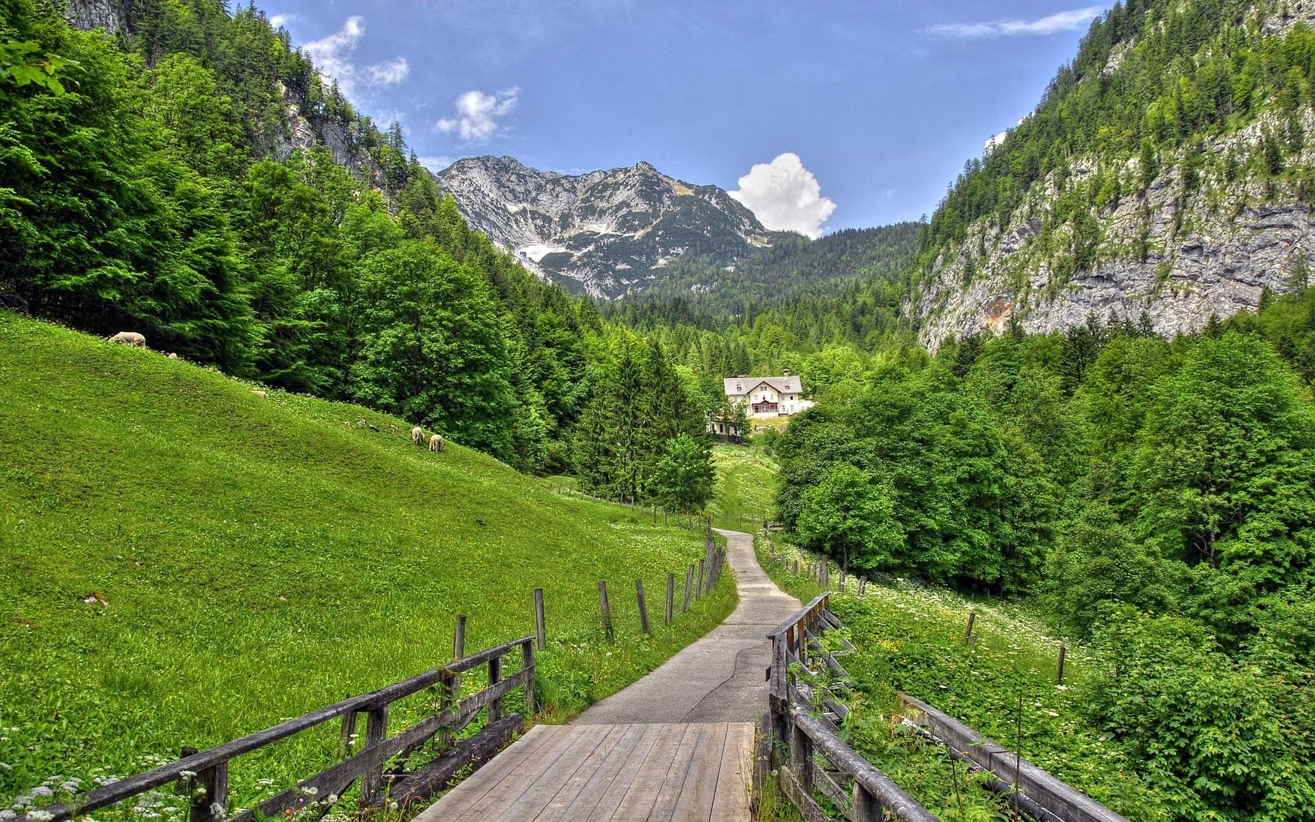 High Quality Nature Wallpapers - Top Free High Quality Nature