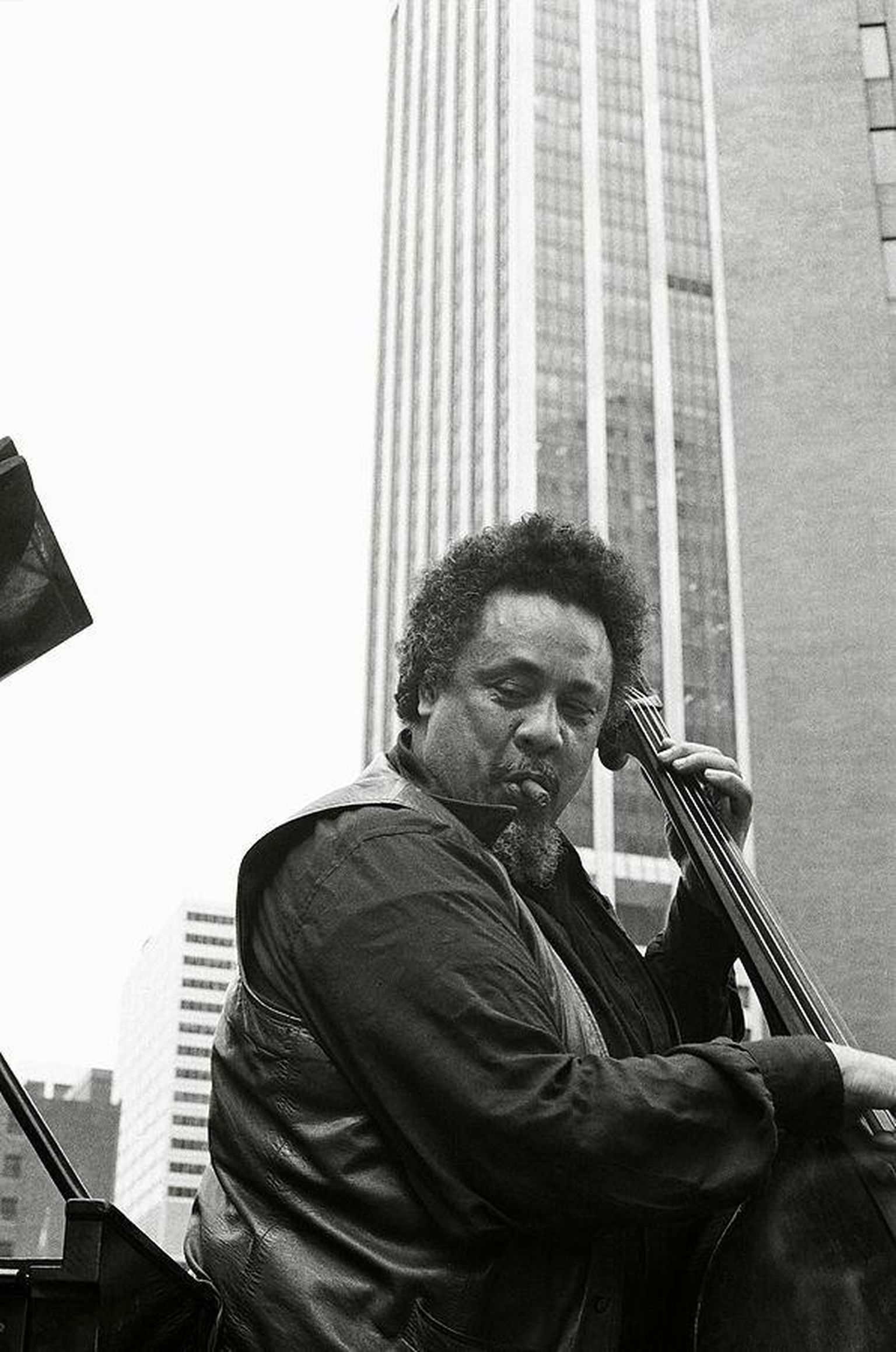 1536x2317 Mingus100