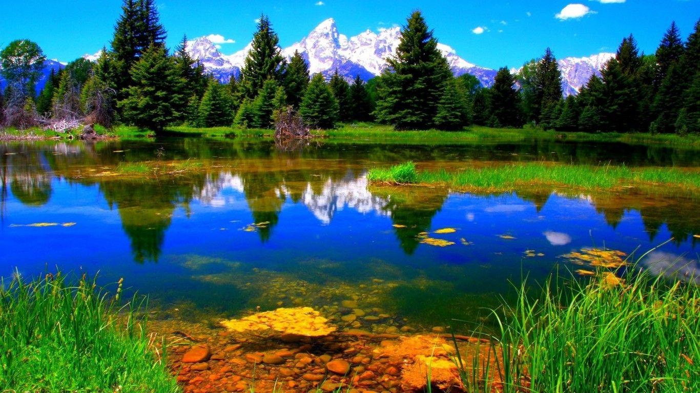 1366x768 High Quality Nature Wallpaper. Full HD Picture