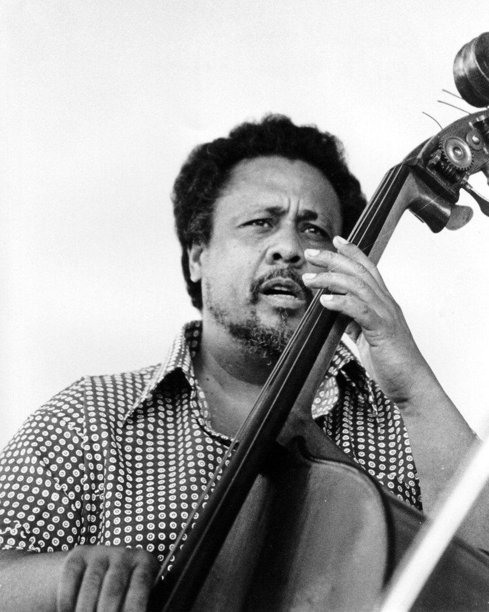 1000x1251 Mingus Gallery