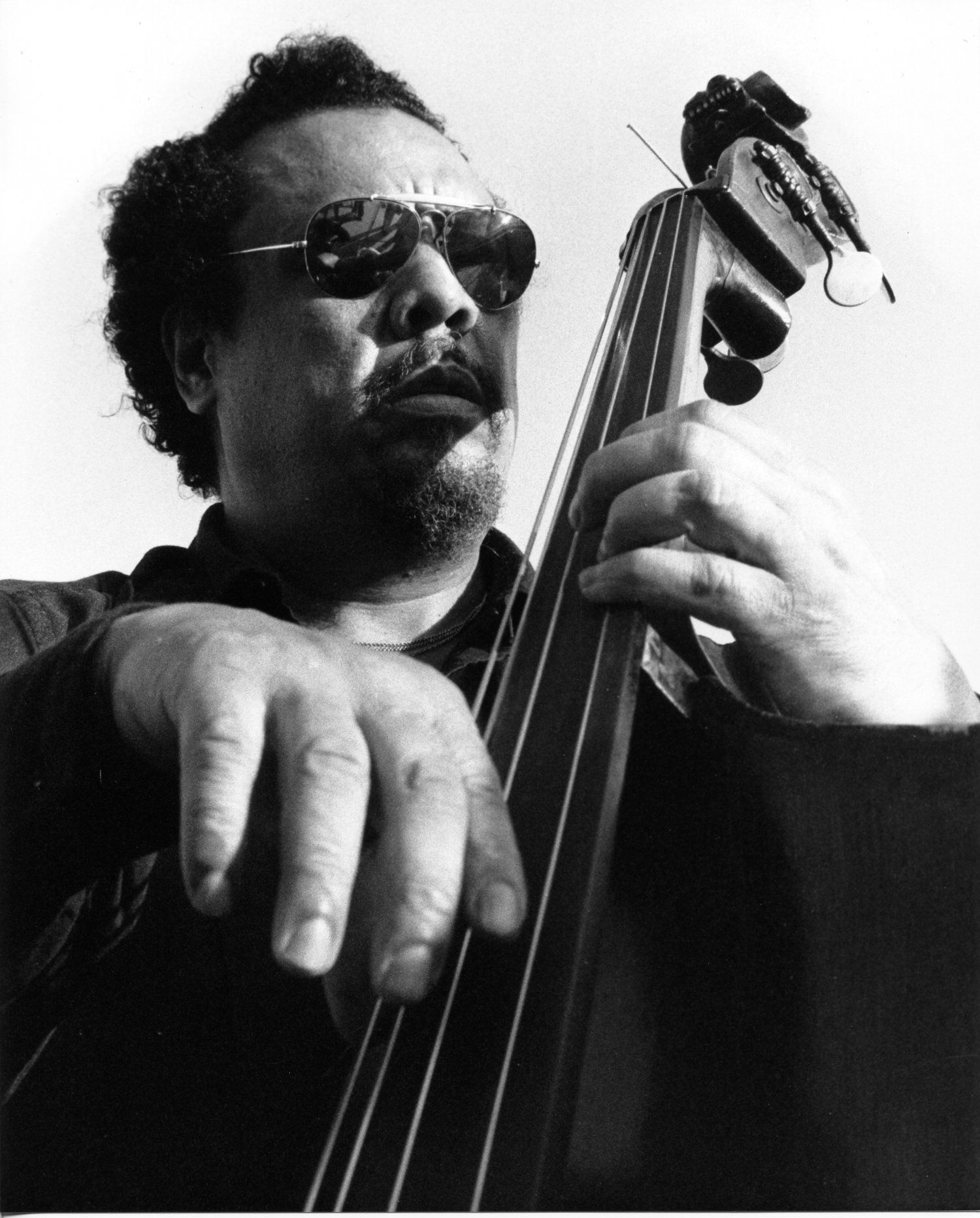 1500x1865 Mingus Wallpaper