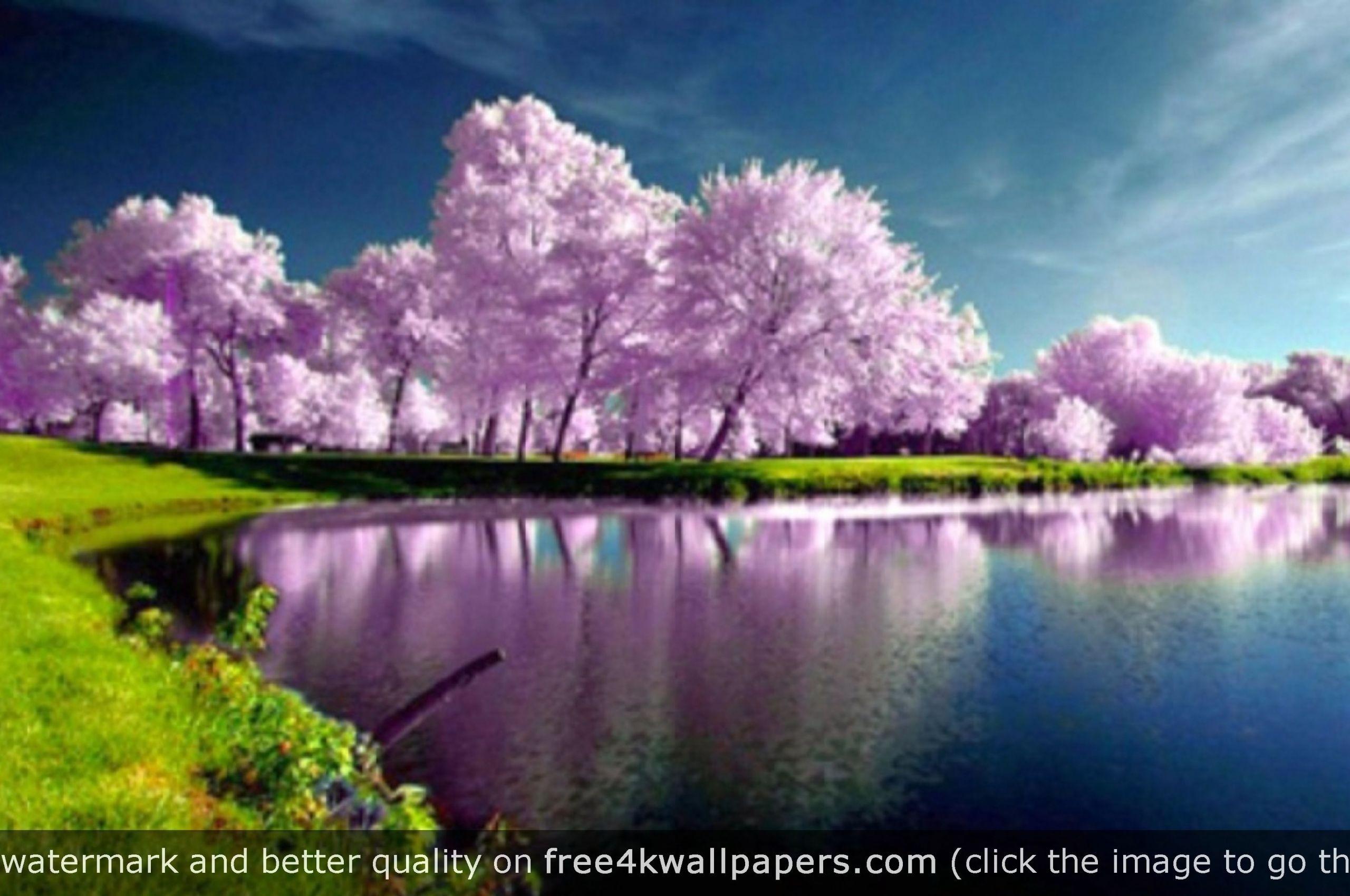 4K Nature PC Wallpapers - Top Free 4K Nature PC Backgrounds -  WallpaperAccess