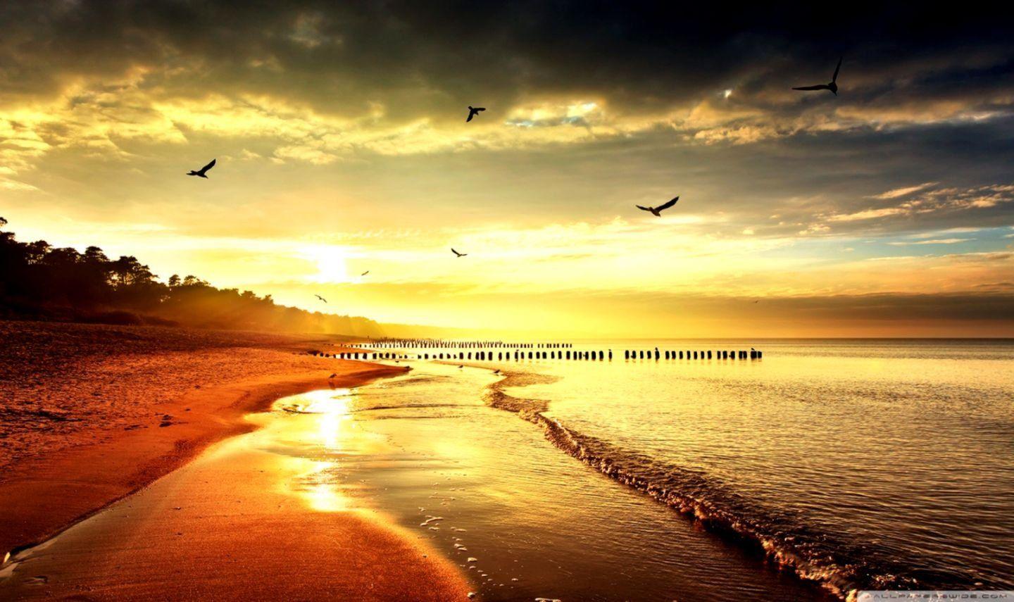 1440x855 4k Wallpaper Background Nature