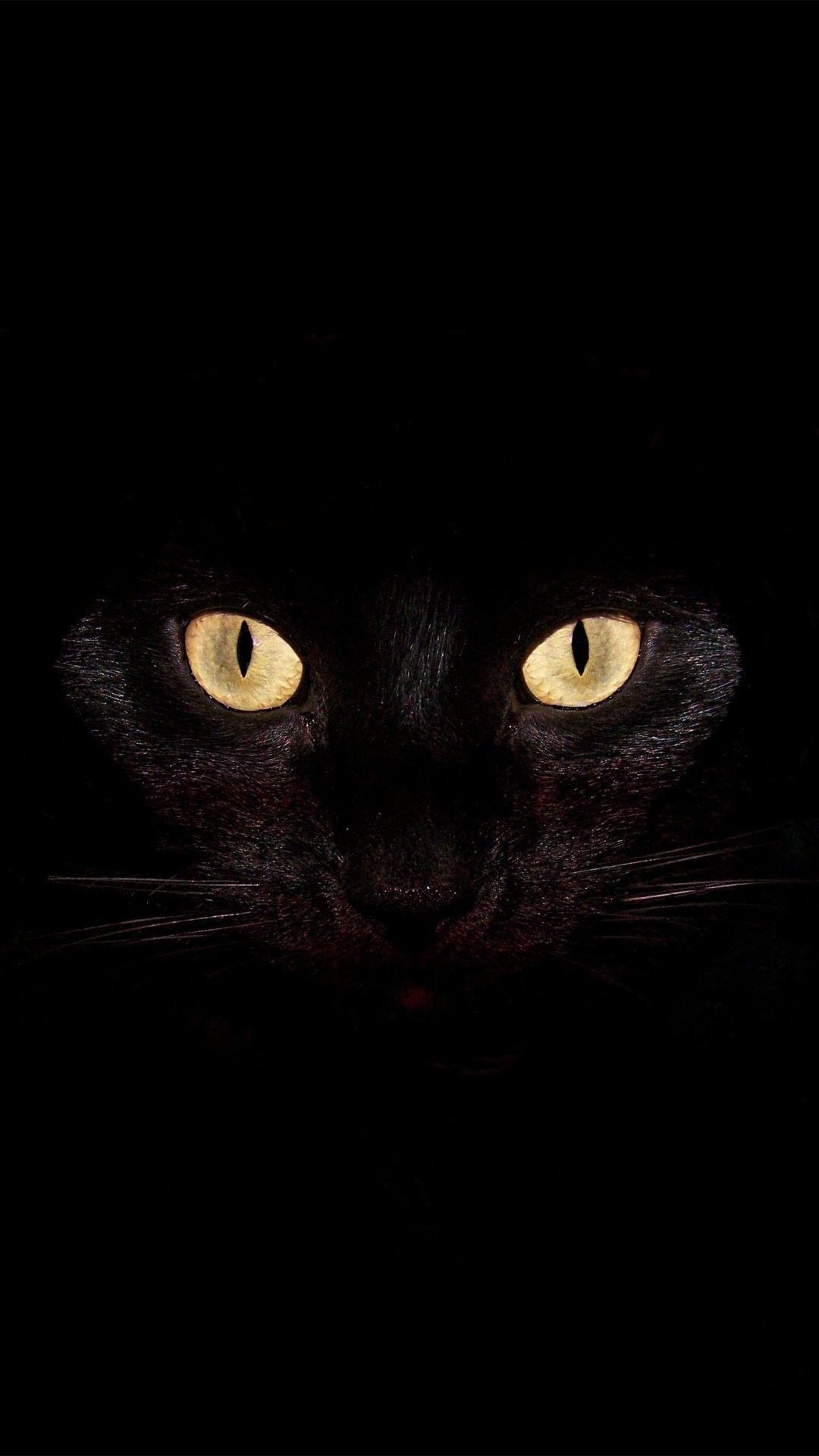 1080x1920 Scary Wallpaper for iPhone