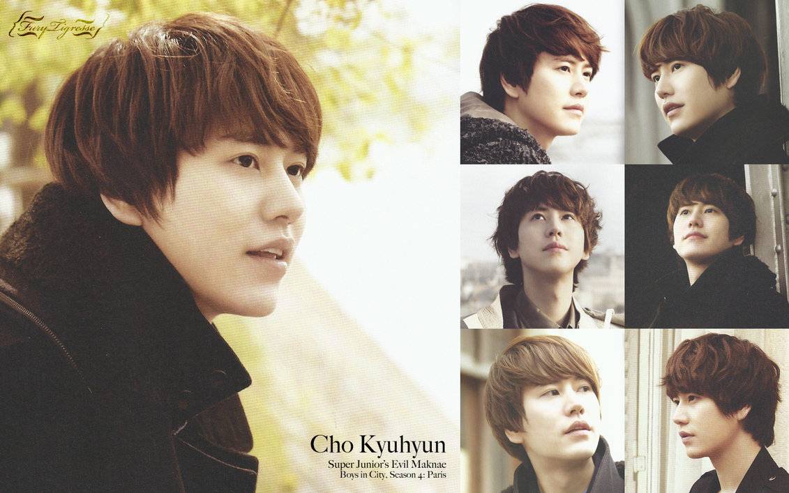 1131x707 Super Junior Kyuhyun Wallpaper