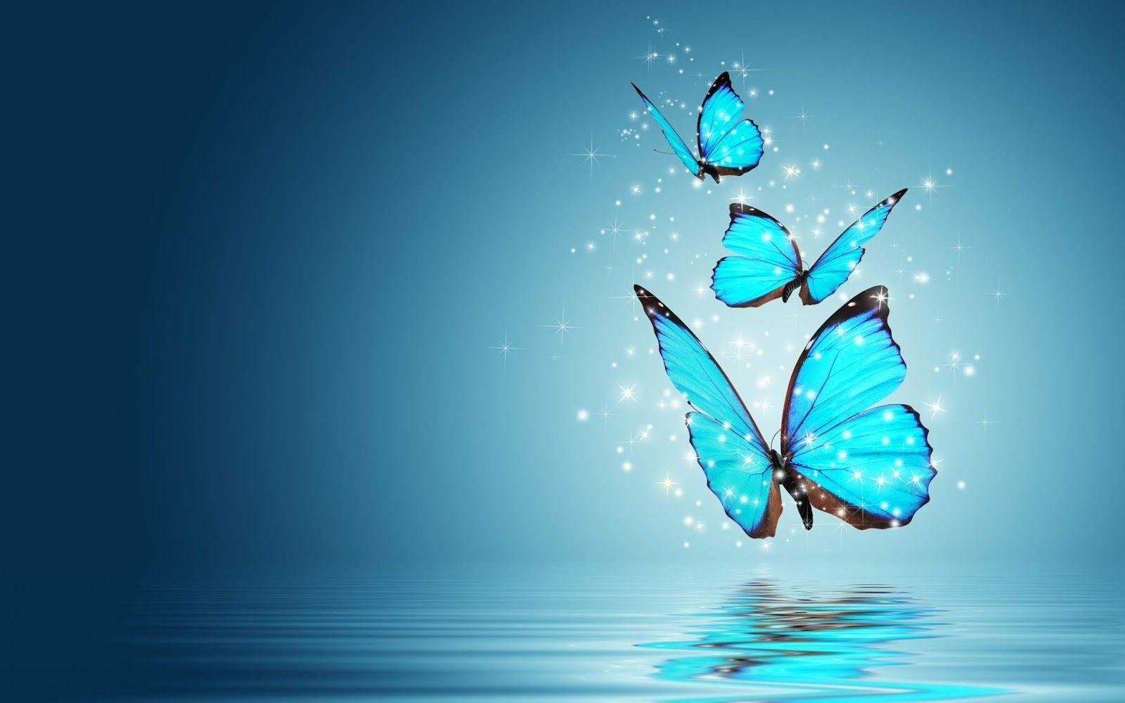 Teal Butterfly Wallpapers - Top Free Teal Butterfly Backgrounds