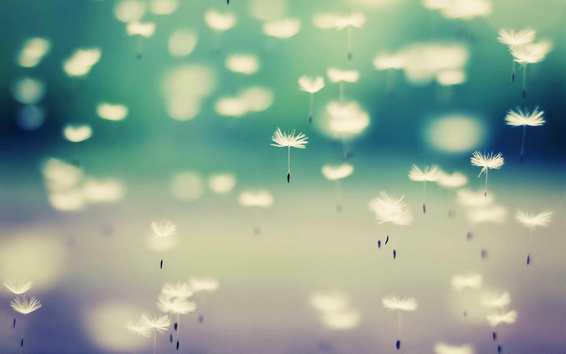 1920x1200 Cute Computer Wallpaper