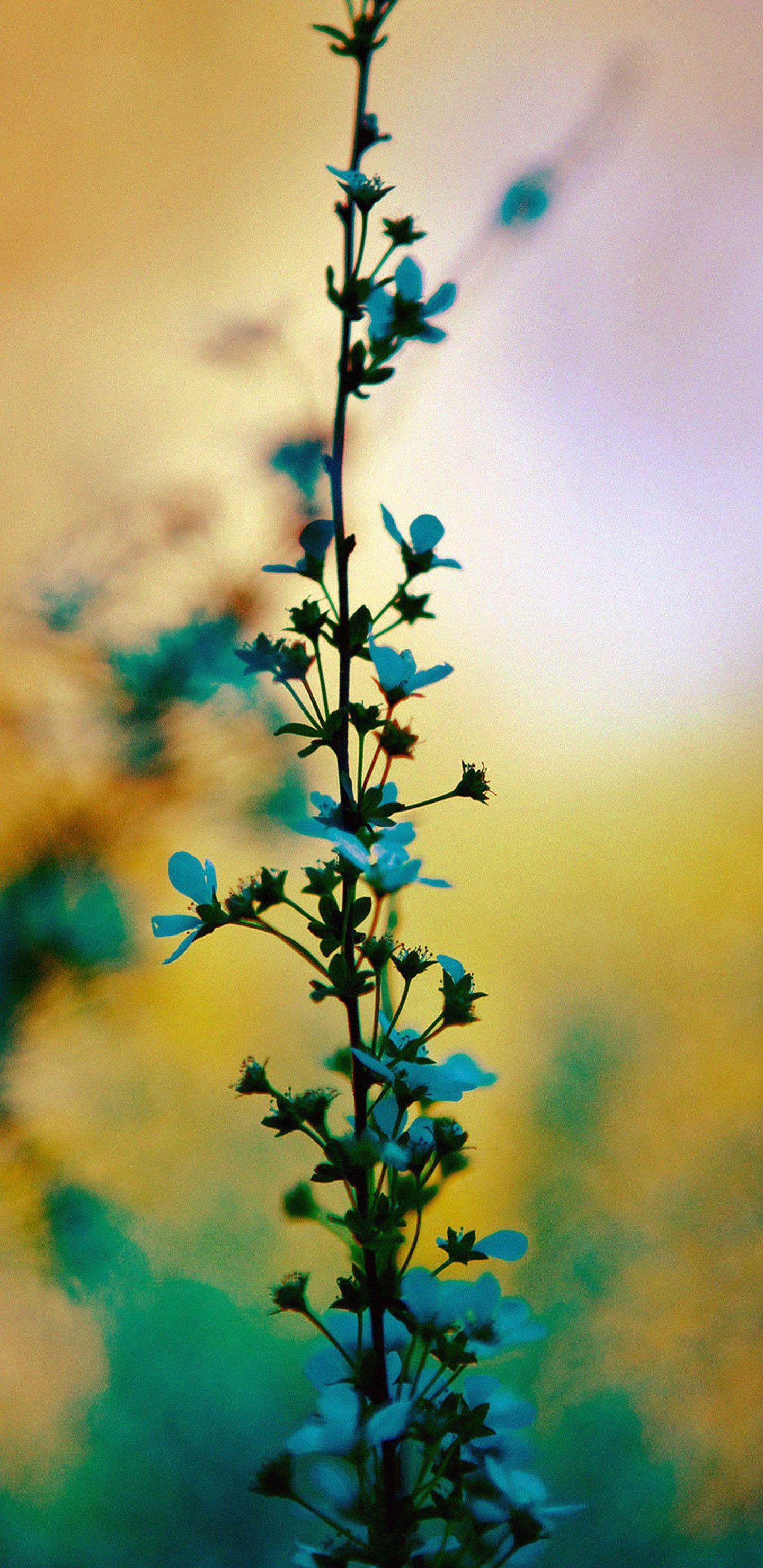 1440x2960 Bright Flower Wallpaper