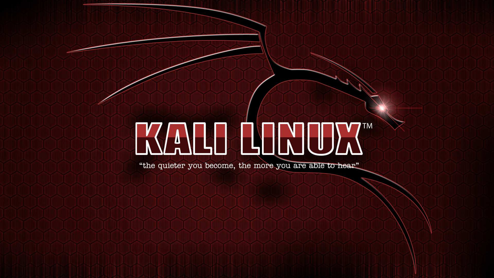 1920x1080 Kali Legacy Wallpaper