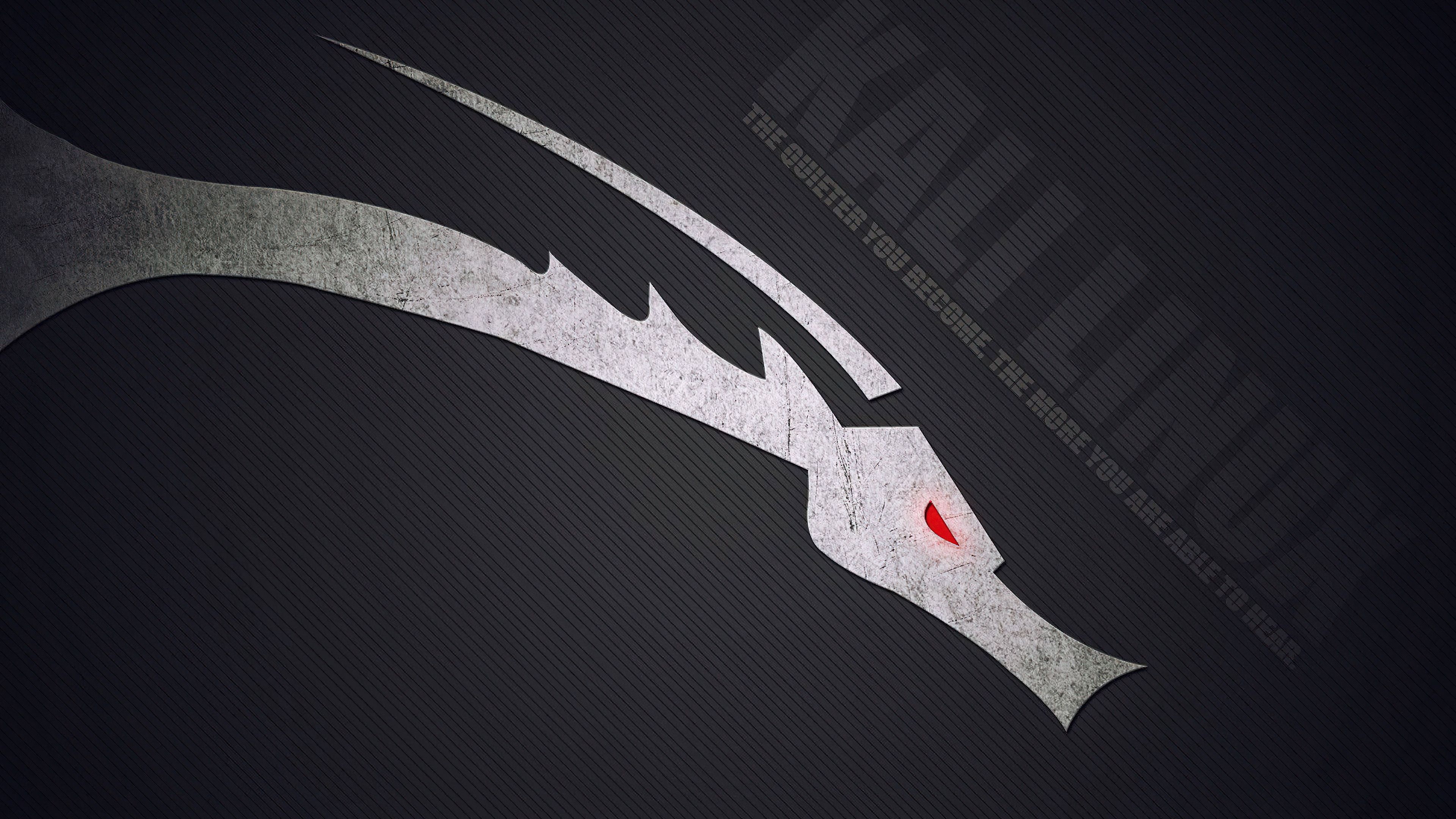 3840x2160 4K Kali Linux Wallpaper