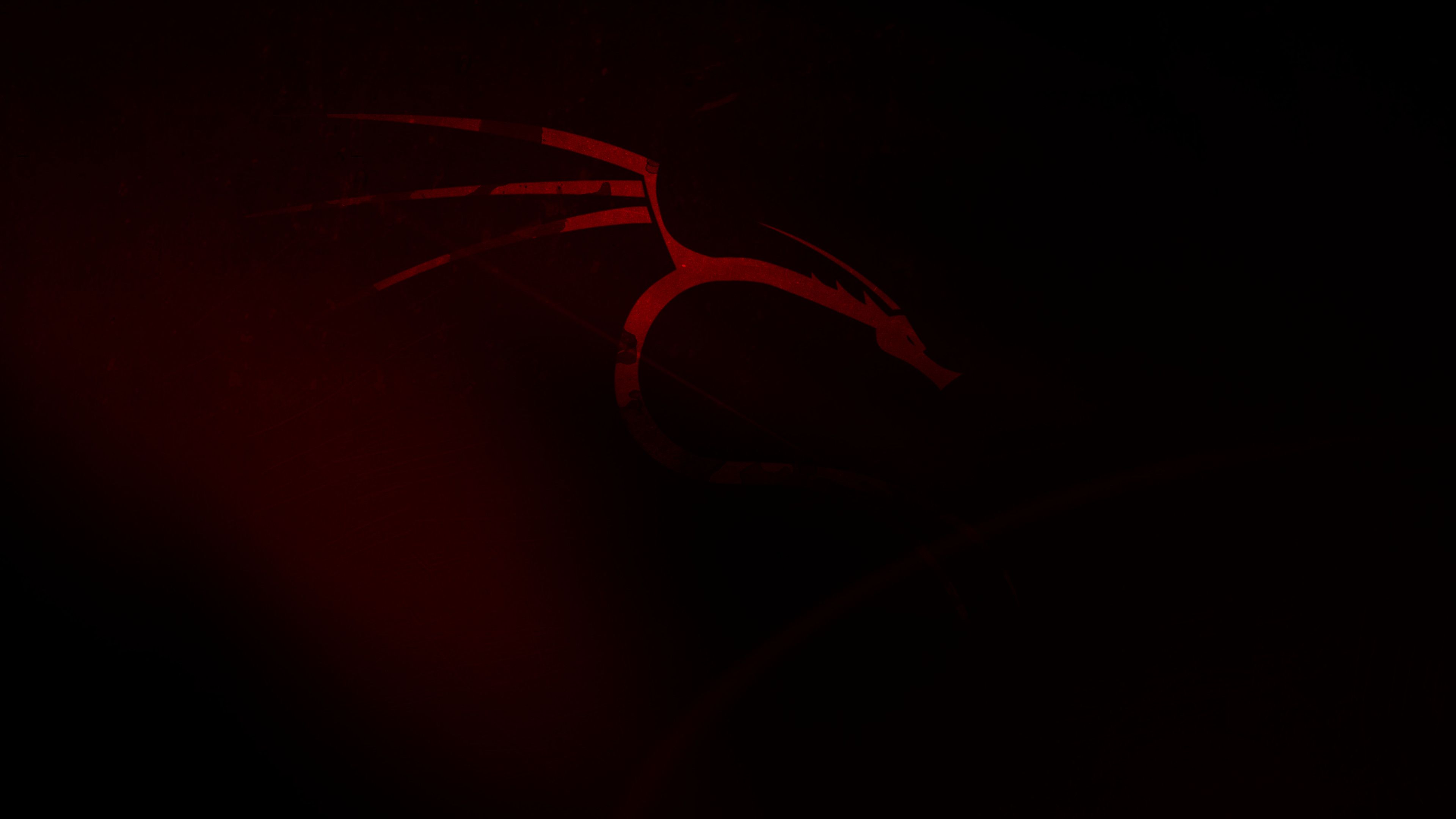 3840x2160 4K Kali Linux Wallpaper