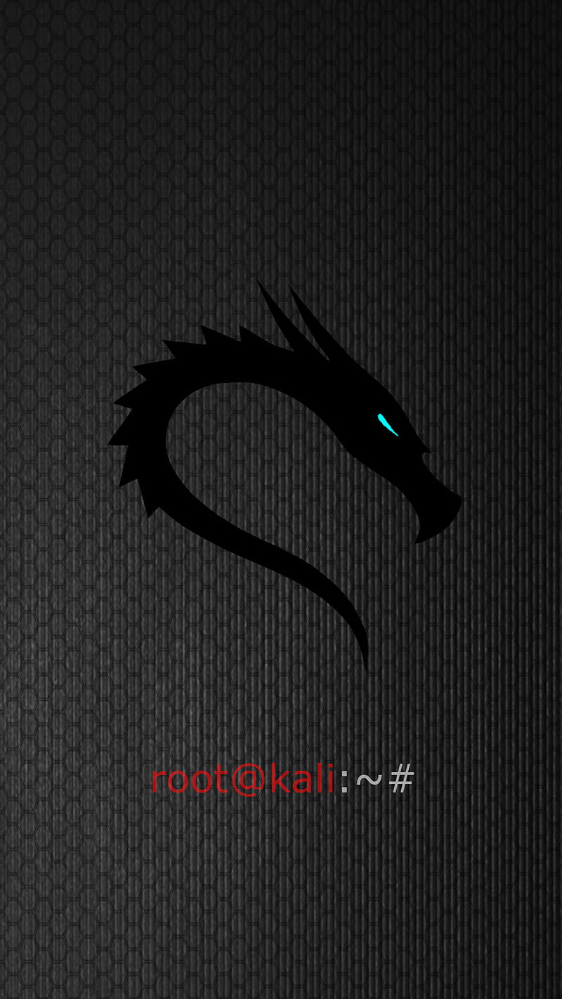 800x1422 HD kali linux logo wallpaper