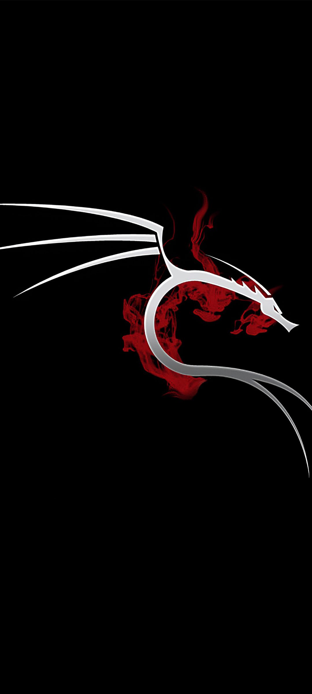 1080x2400 Kali Linux 4k Google Pixel 7 , HD 4k Wallpaper, Image, Background, Photos and Picture