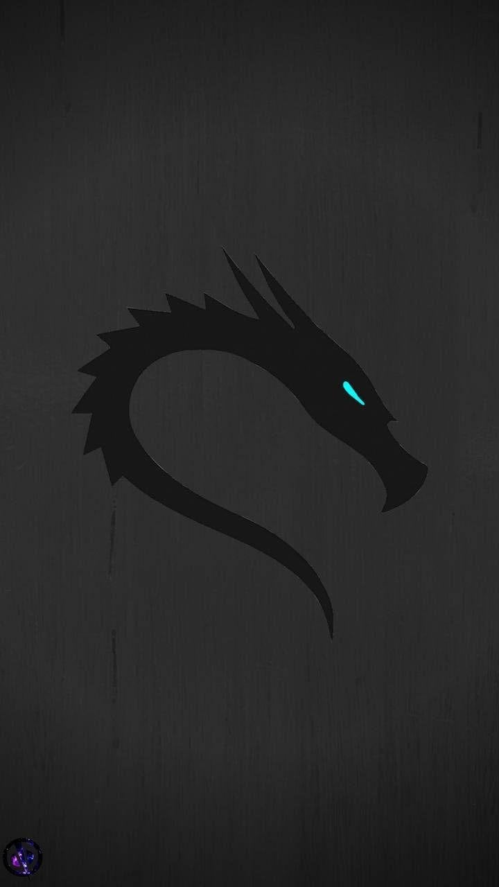 720x1280 Kali Linux iPhone Wallpaper