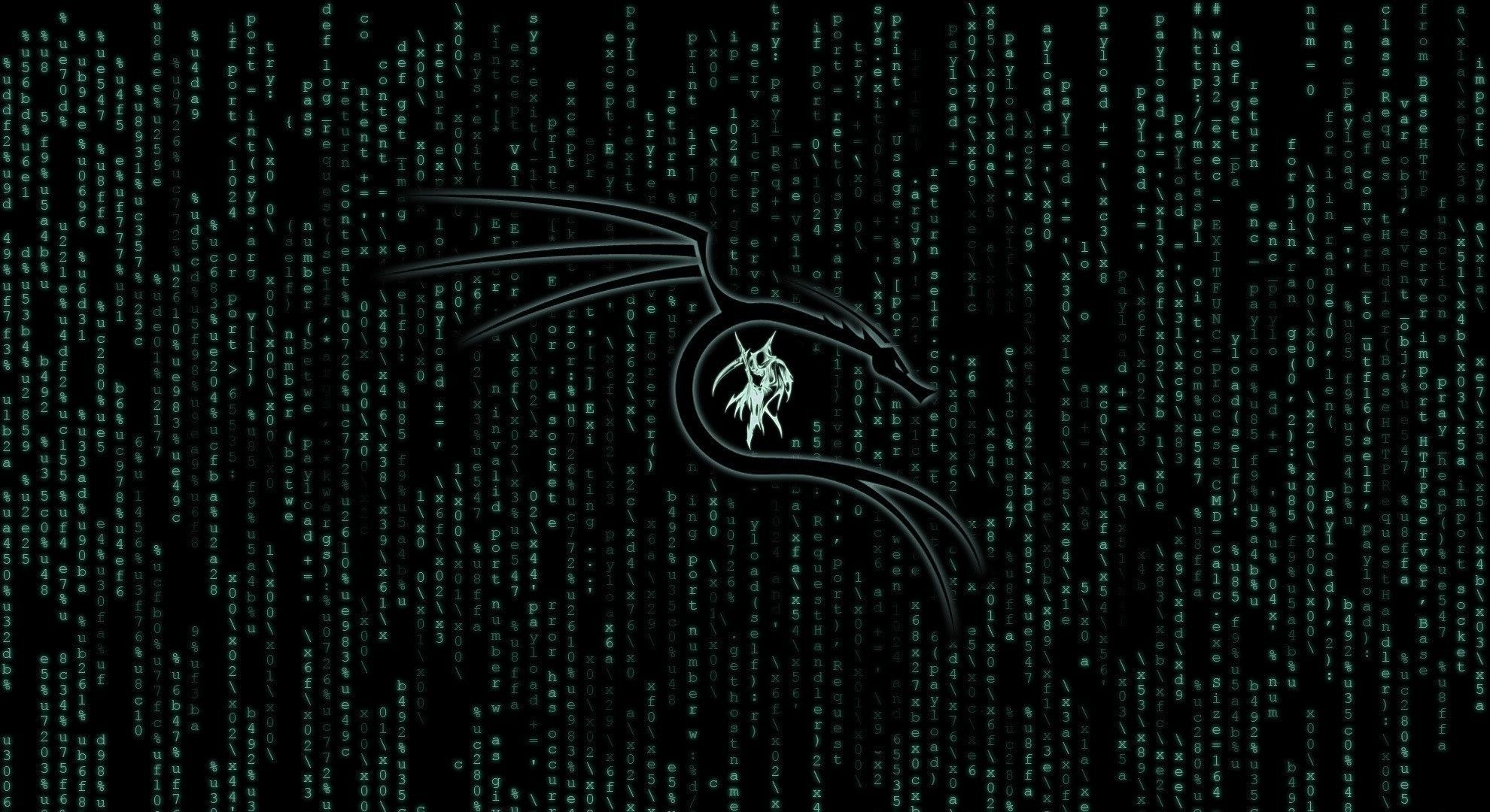 1980x1080 Kali Linux Matrix Wallpaper, HD Hi Tech 4K Wallpaper, Image And Background