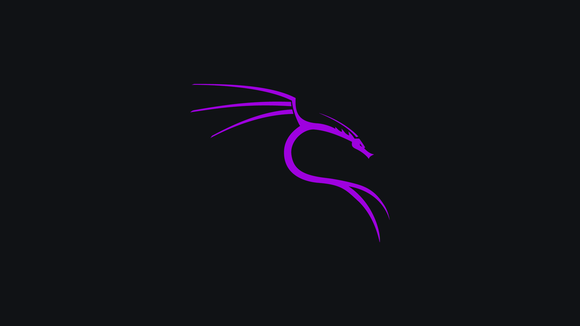 1920x1080 Kali Linux