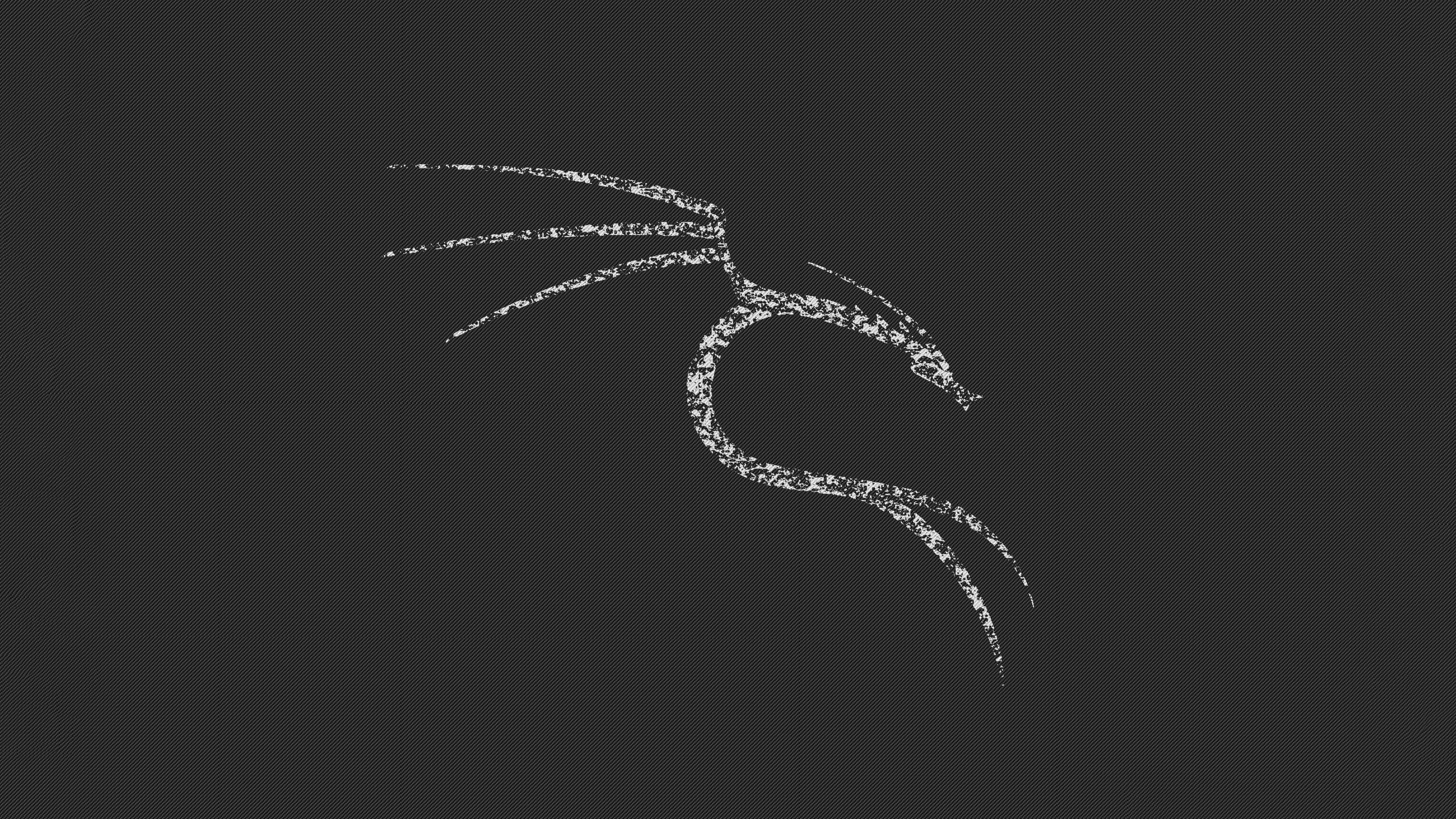 3840x2160 4K Kali Linux Wallpaper