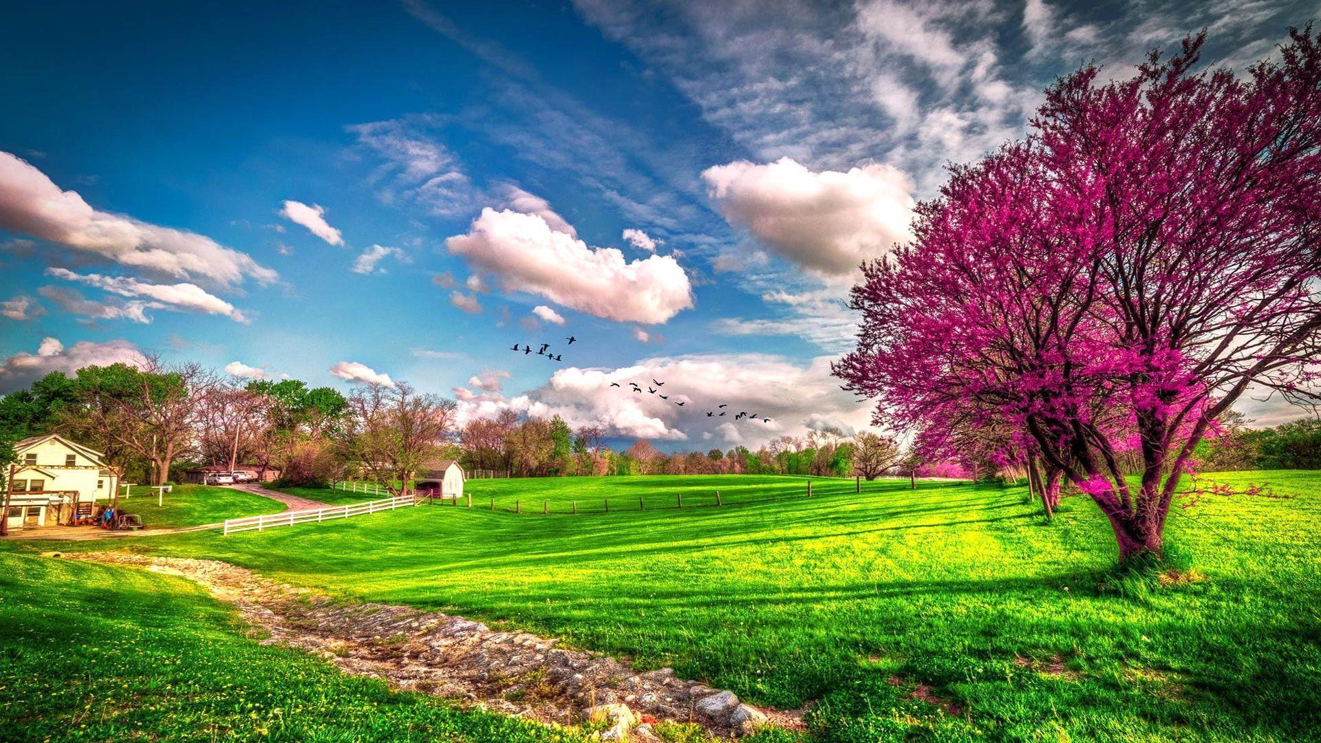 Beautiful Spring Wallpaper 4K APK for Android Download