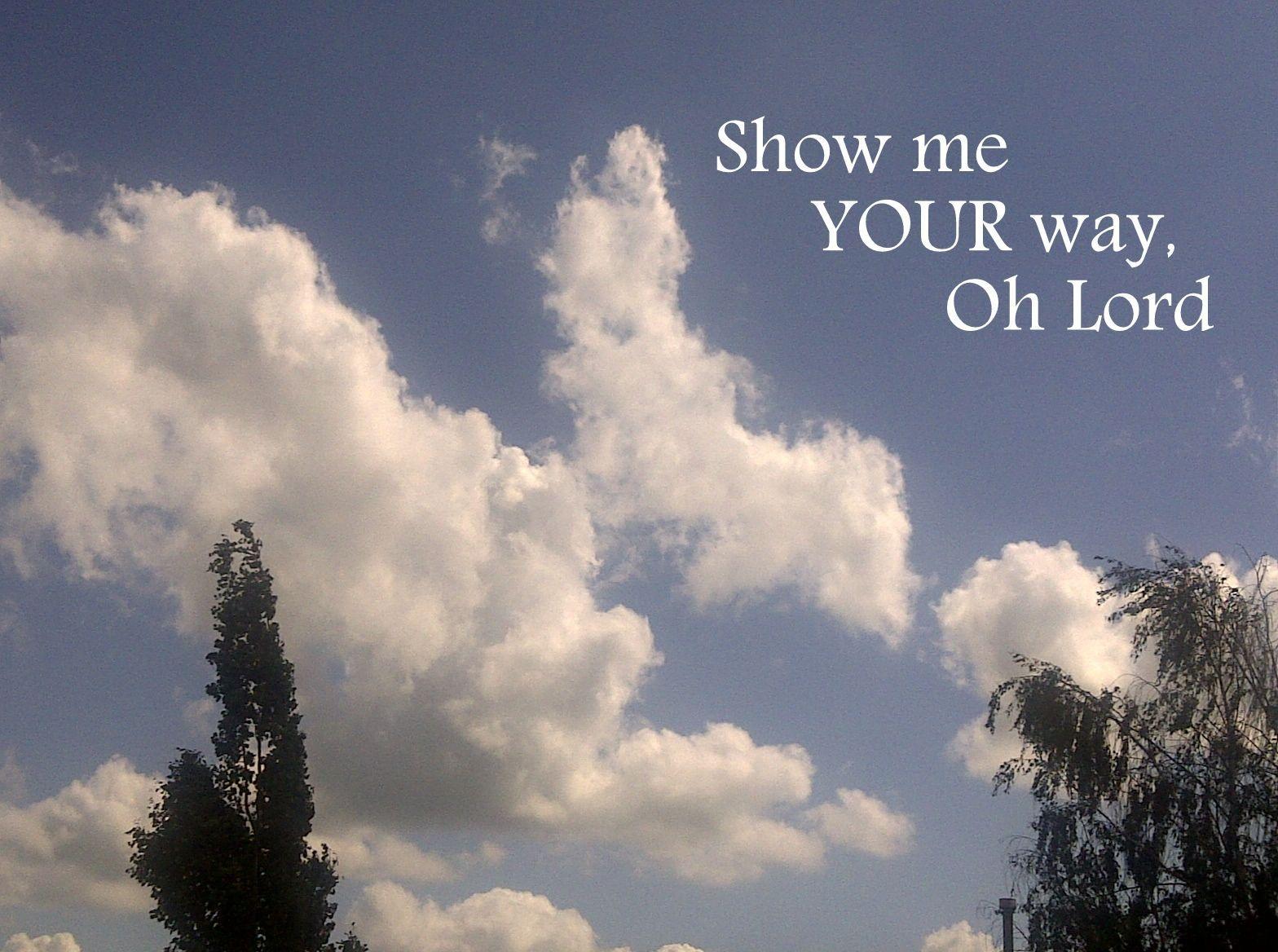 1568x1168 Show Me Wallpaper