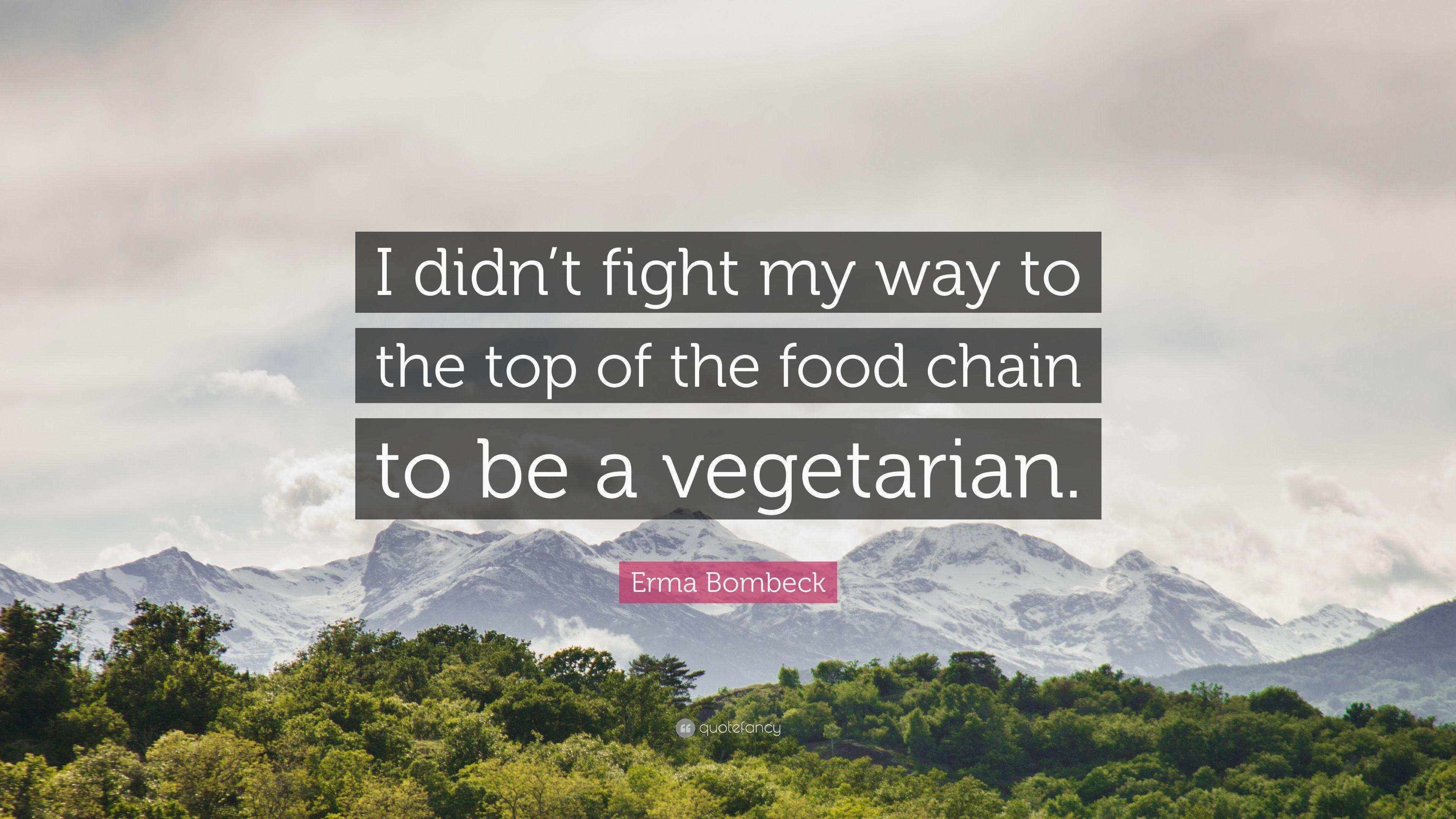 3840x2160 Erma Bombeck Quote: “I didn't fight my way to the top of the food