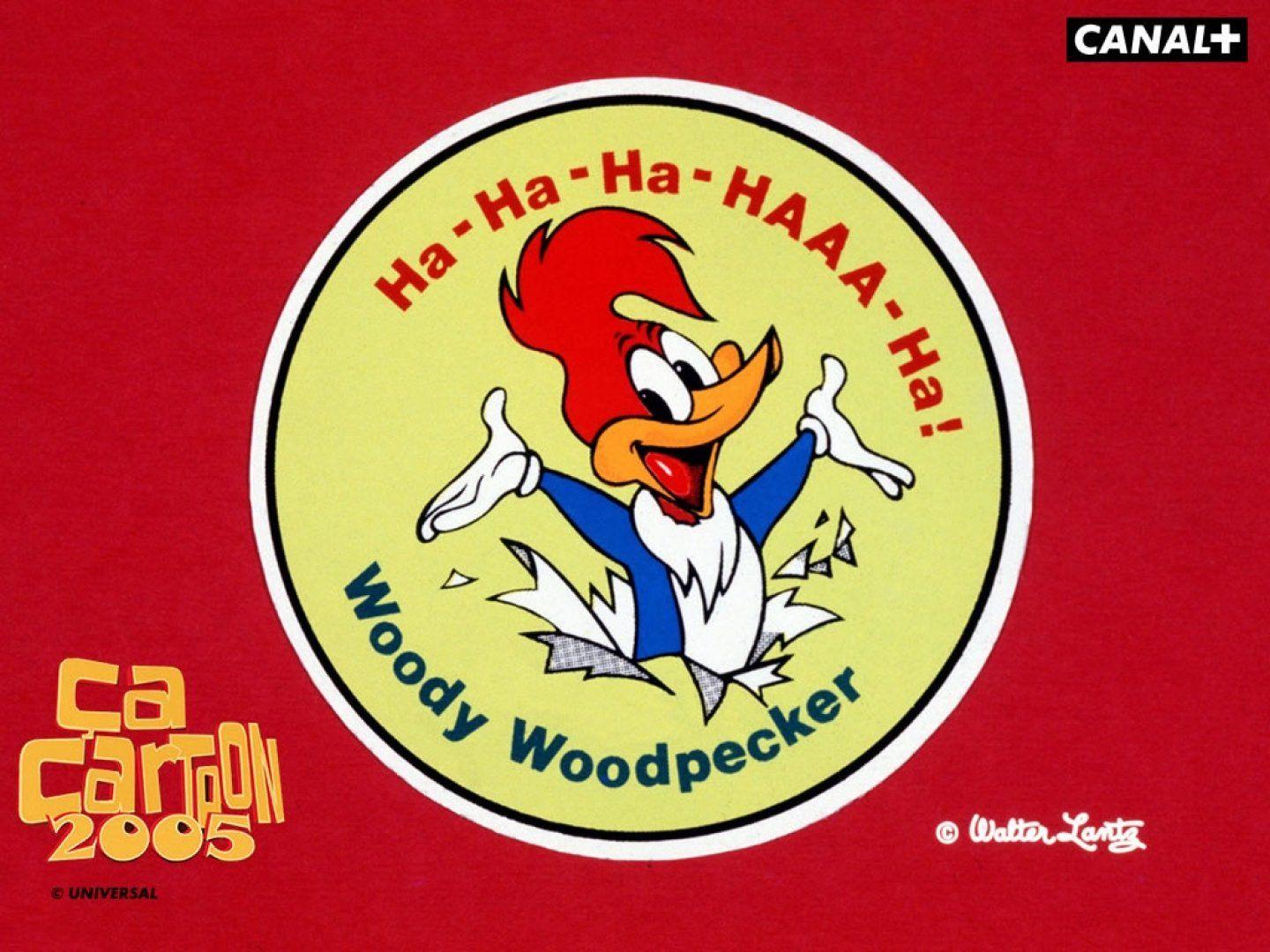 1440x1080 Woody Woodpecker HD Wallpaper and Background Image