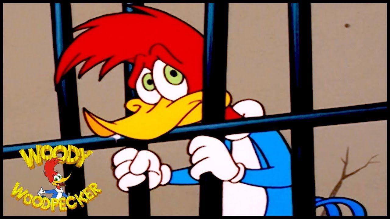 1280x720 Woody Woodpecker Show Hour Compilation. Cartoons For Children