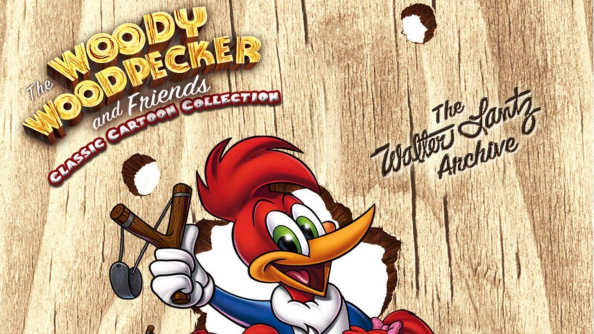 1920x1080 Woody Woodpecker Wallpaper