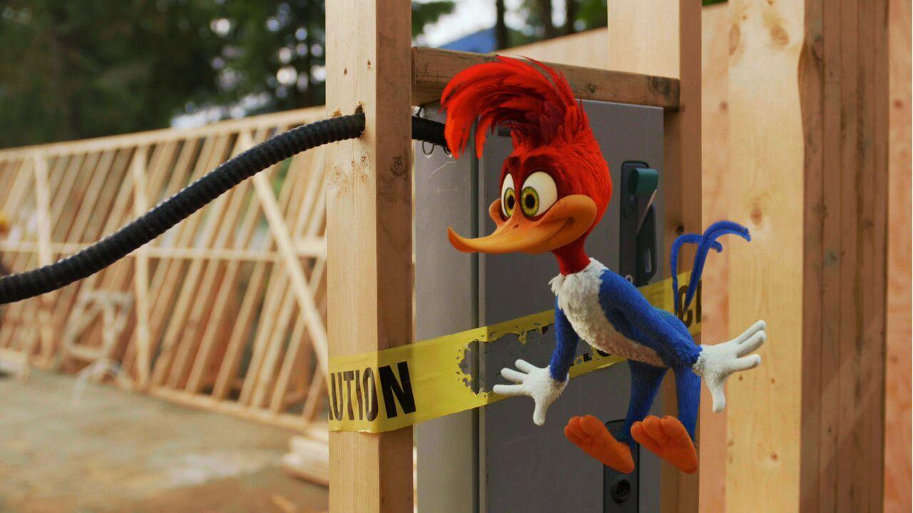 2017 woody woodpecker