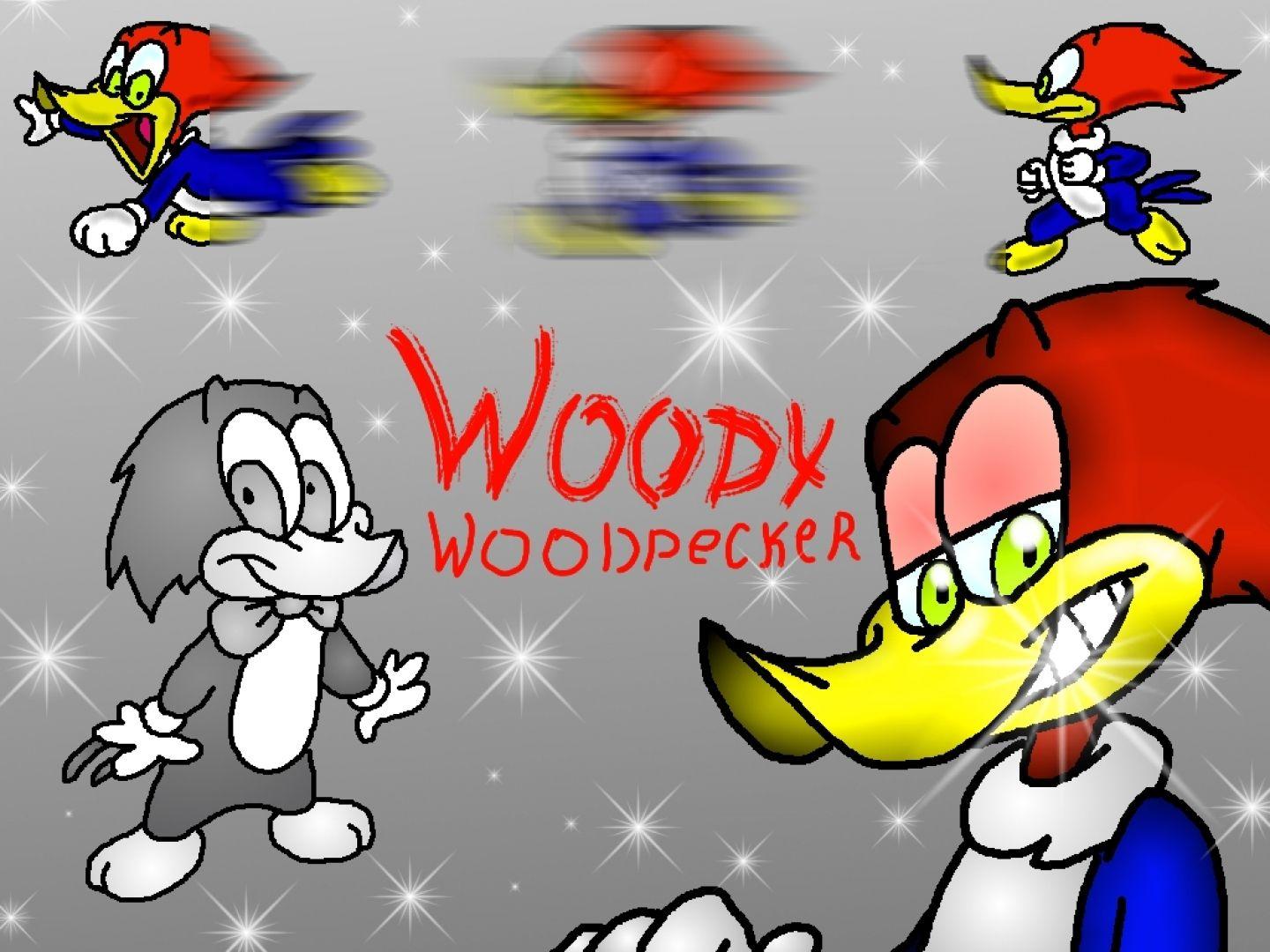 Woody Woodpecker Wallpapers Top Free Woody Woodpecker Backgrounds